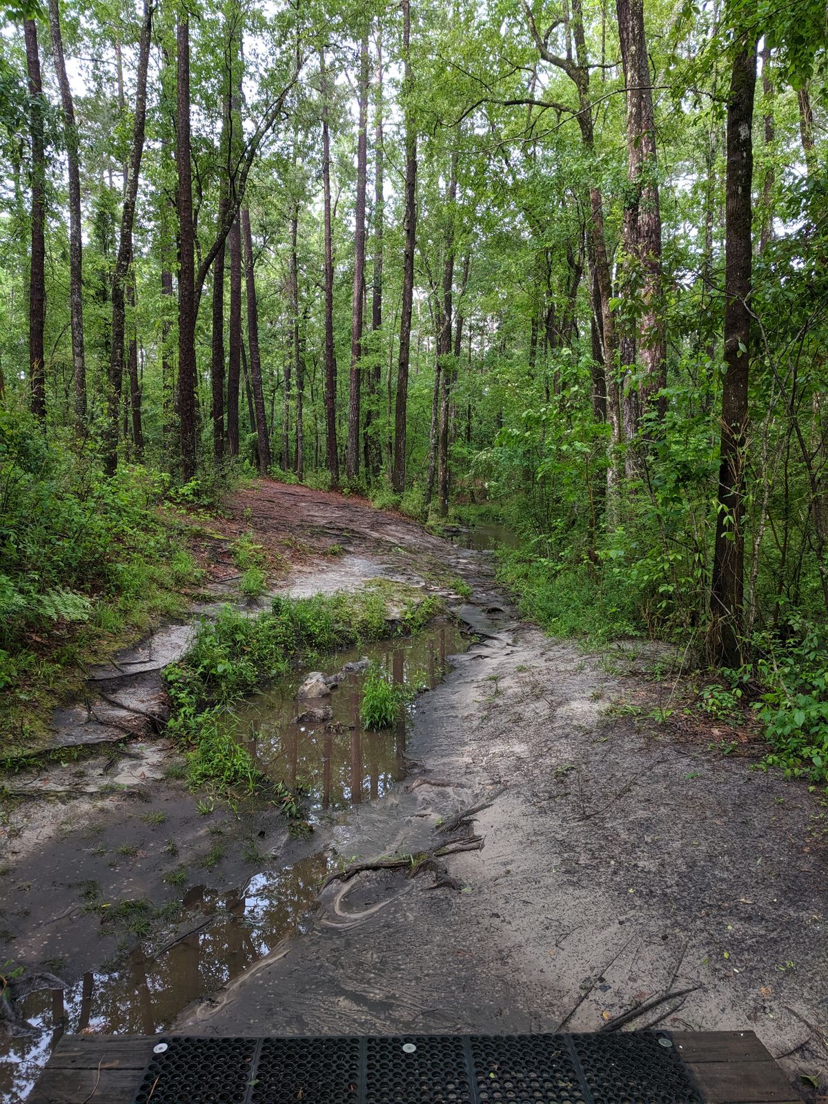 Hole 8