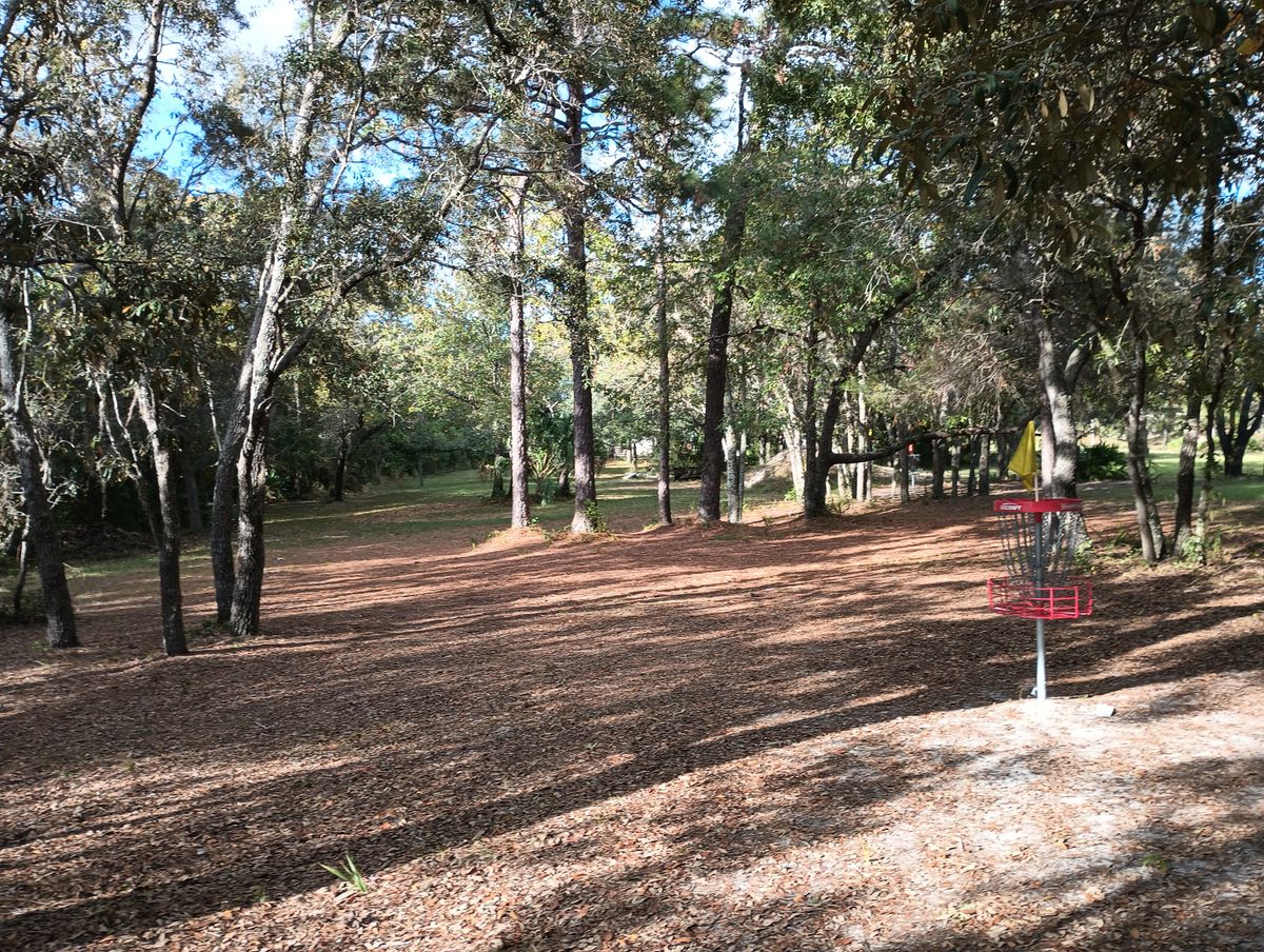 Hole 6 basket