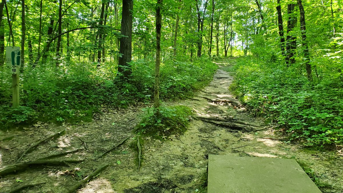 Hole 12