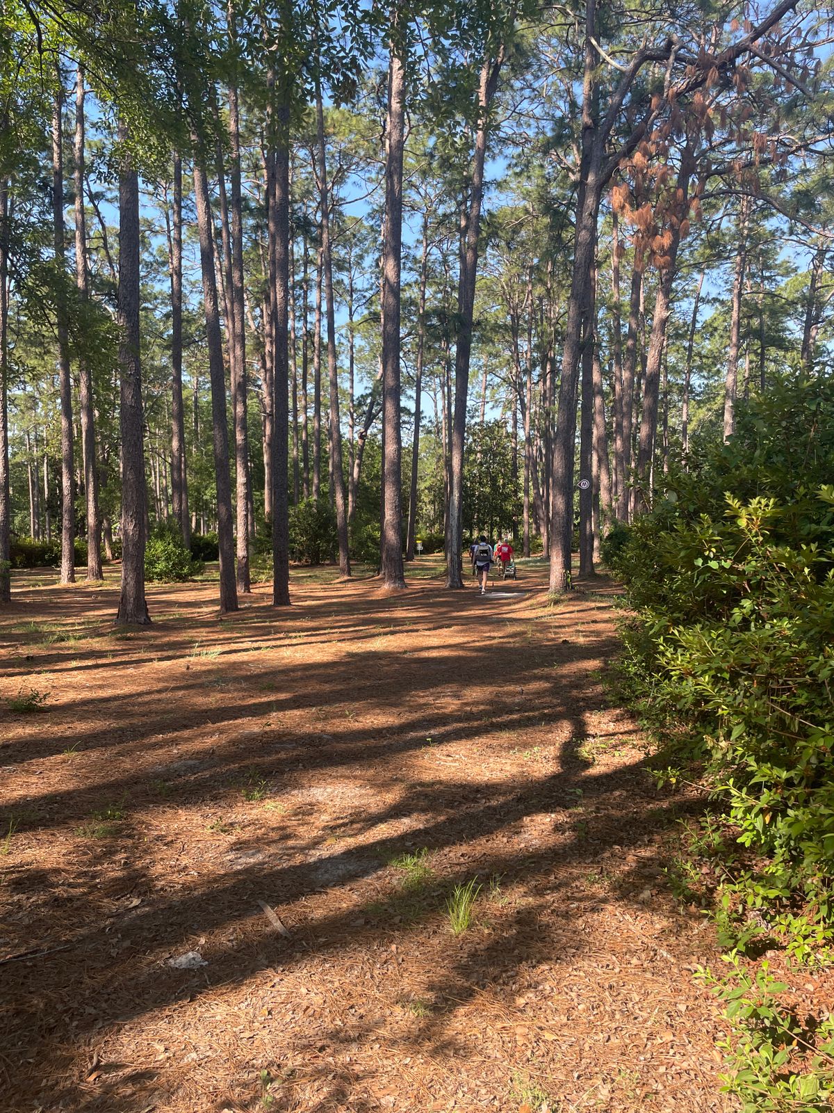Hole18