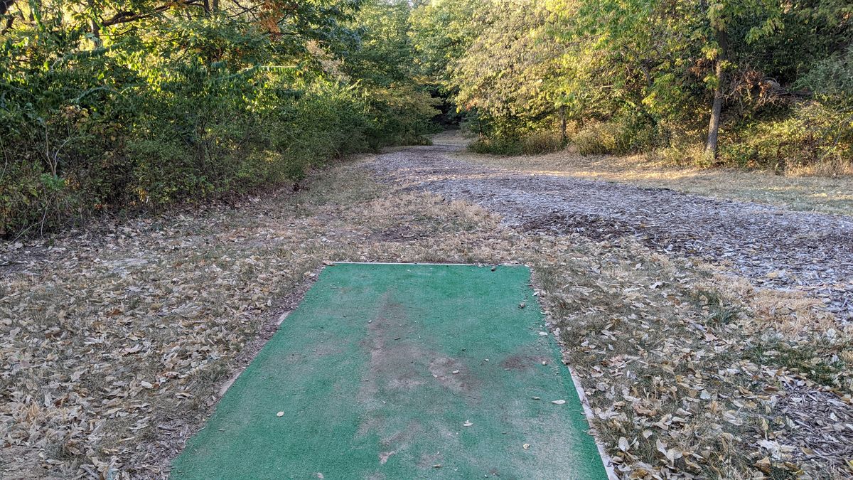 Tee #8