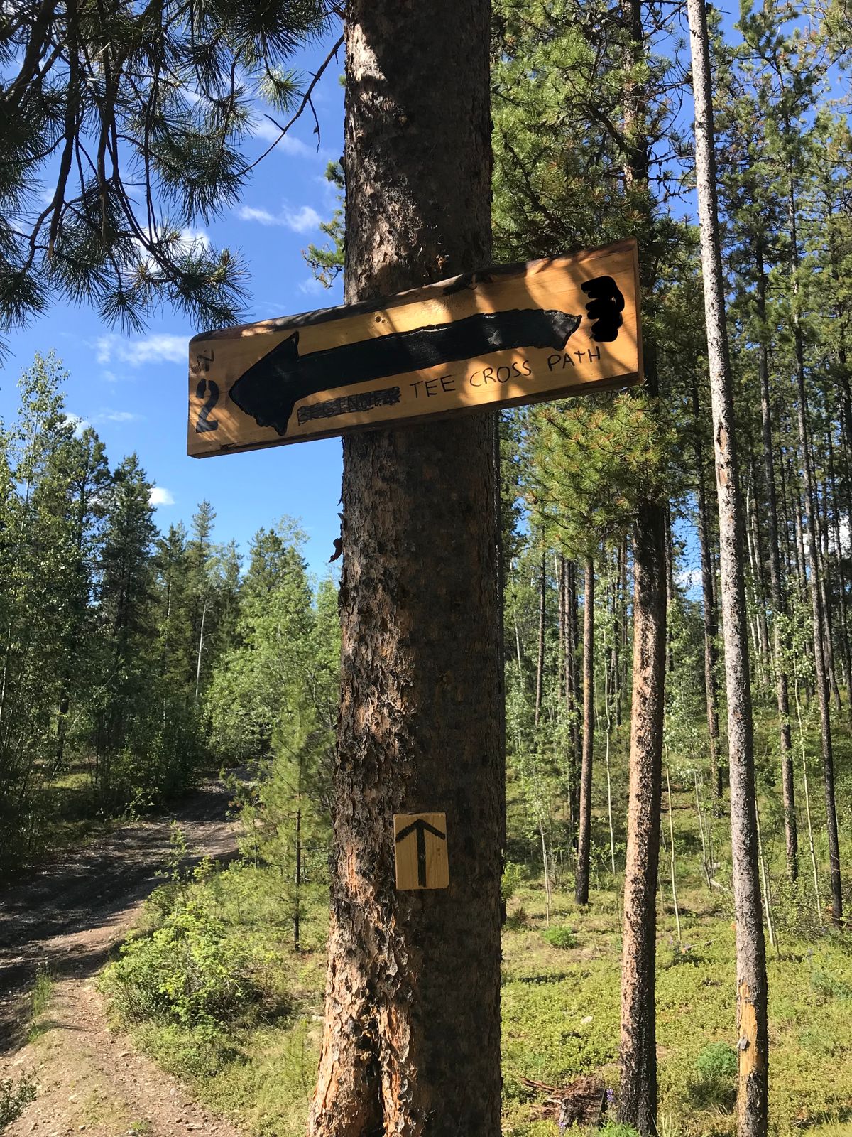 Cross path to 2(if you hit the road you’ve gone much too far left)