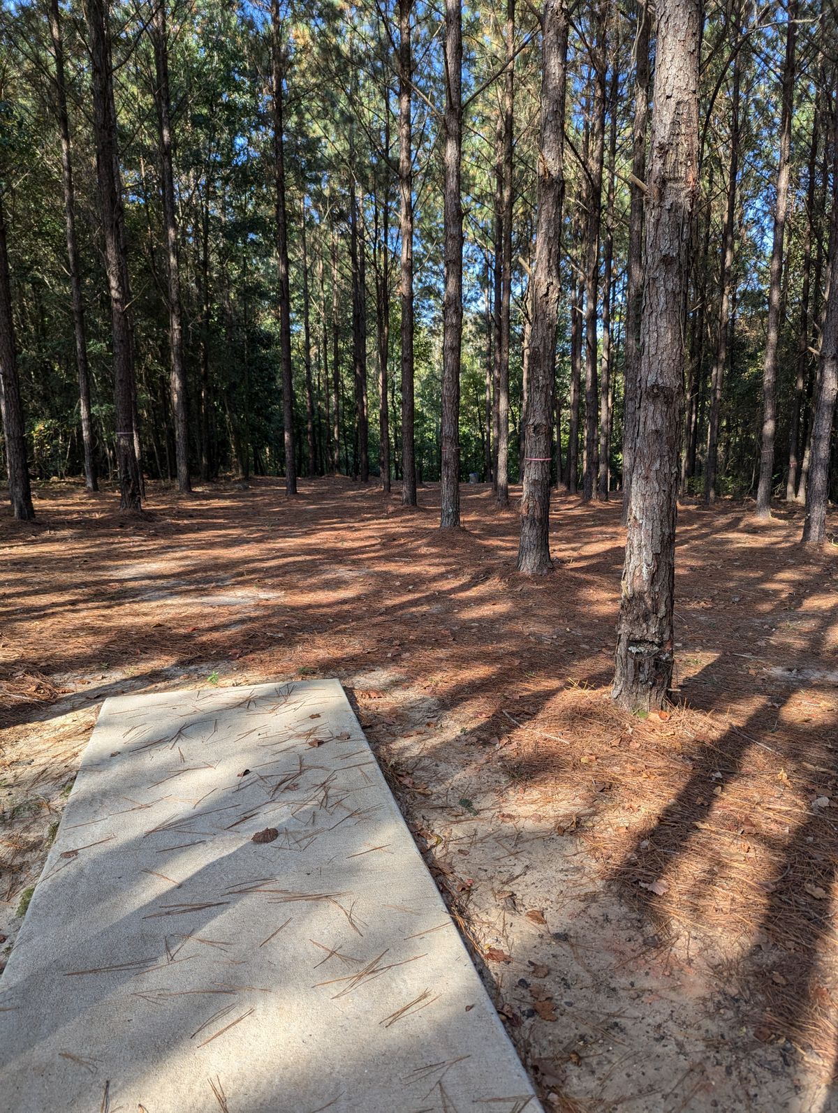Hole 15 to the right a just a bit