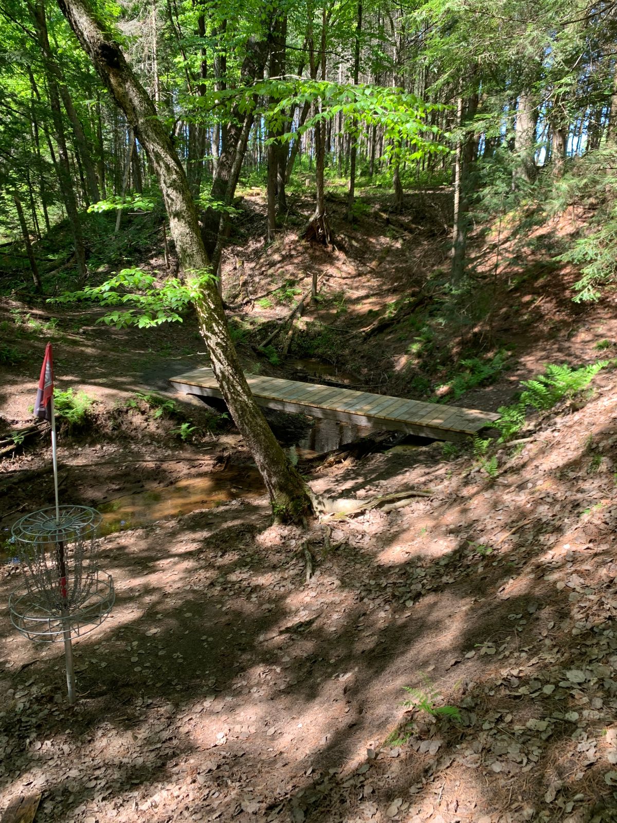New bridge on #11