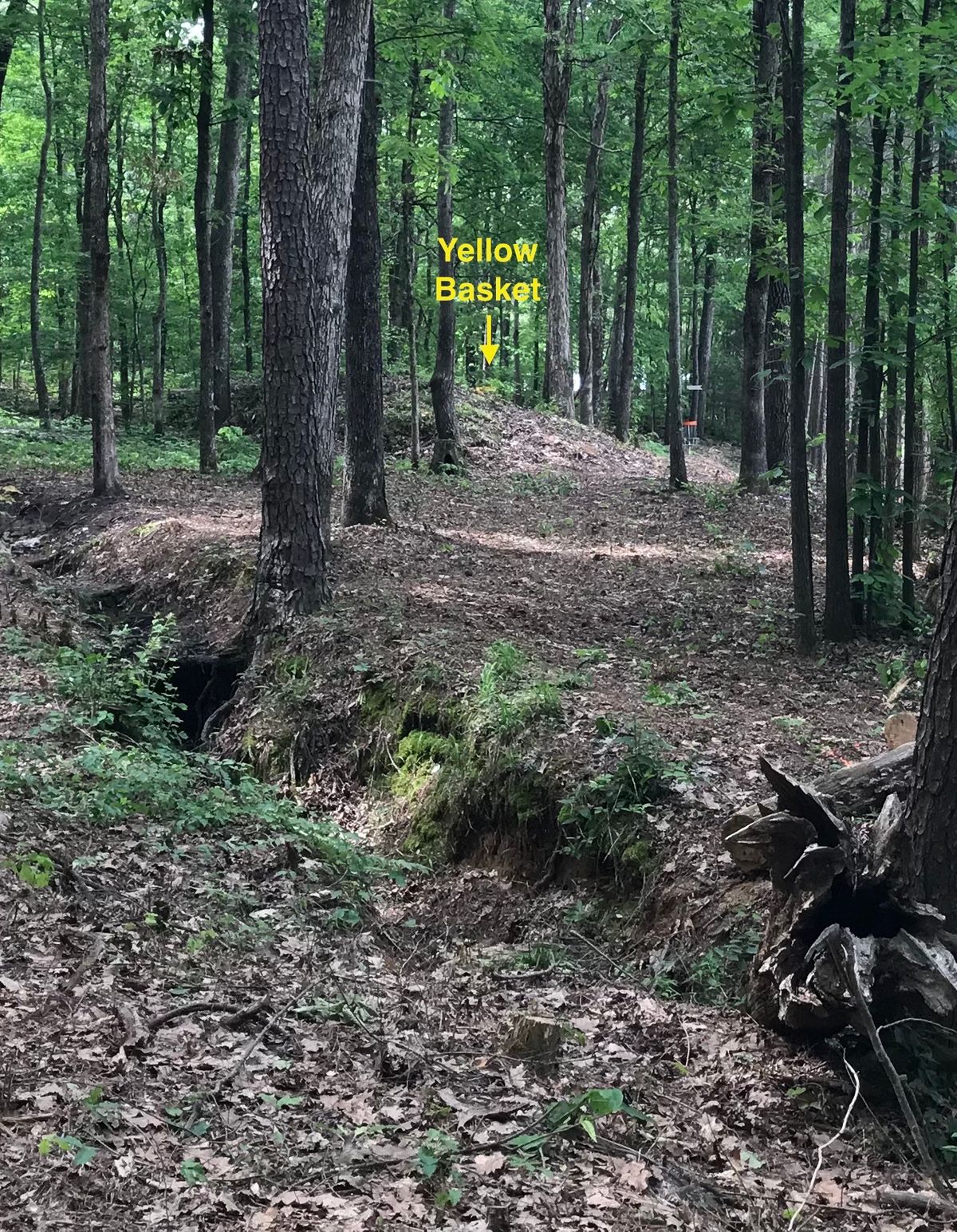 Hole 4 red tee