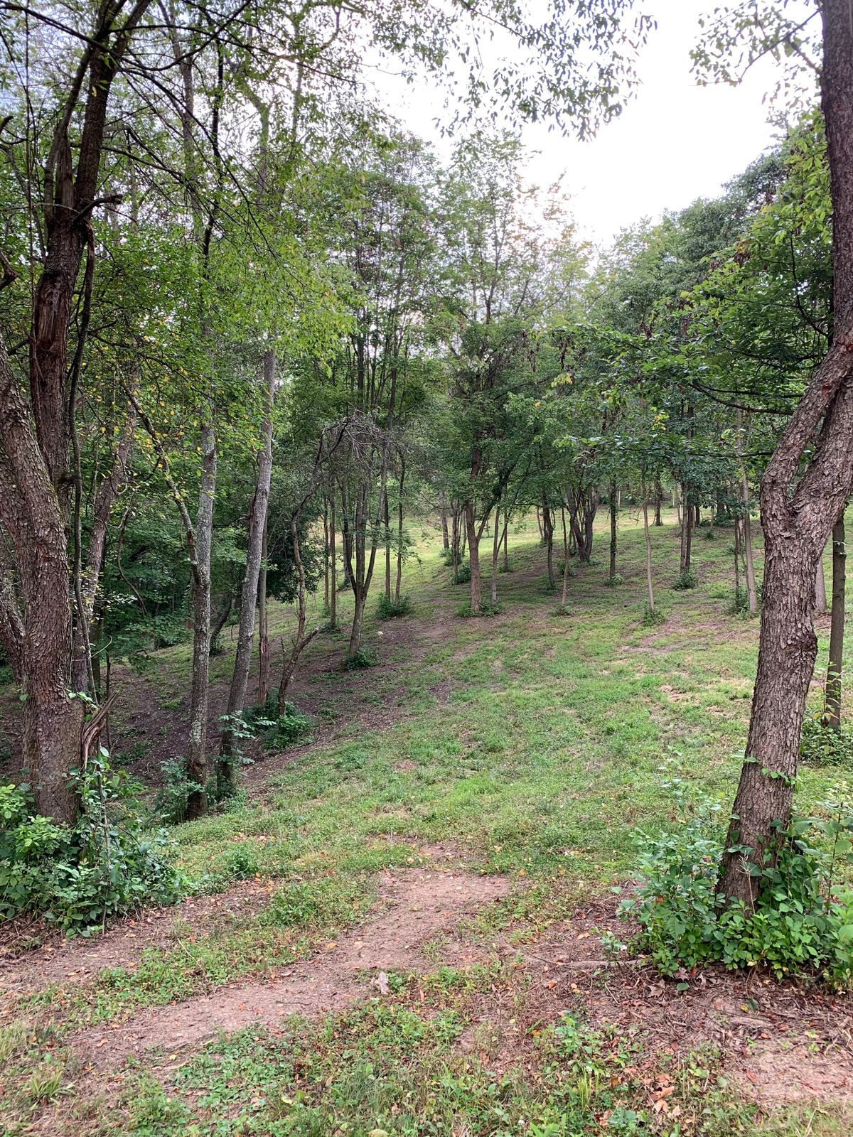 Hole 11 2nd fairway shot