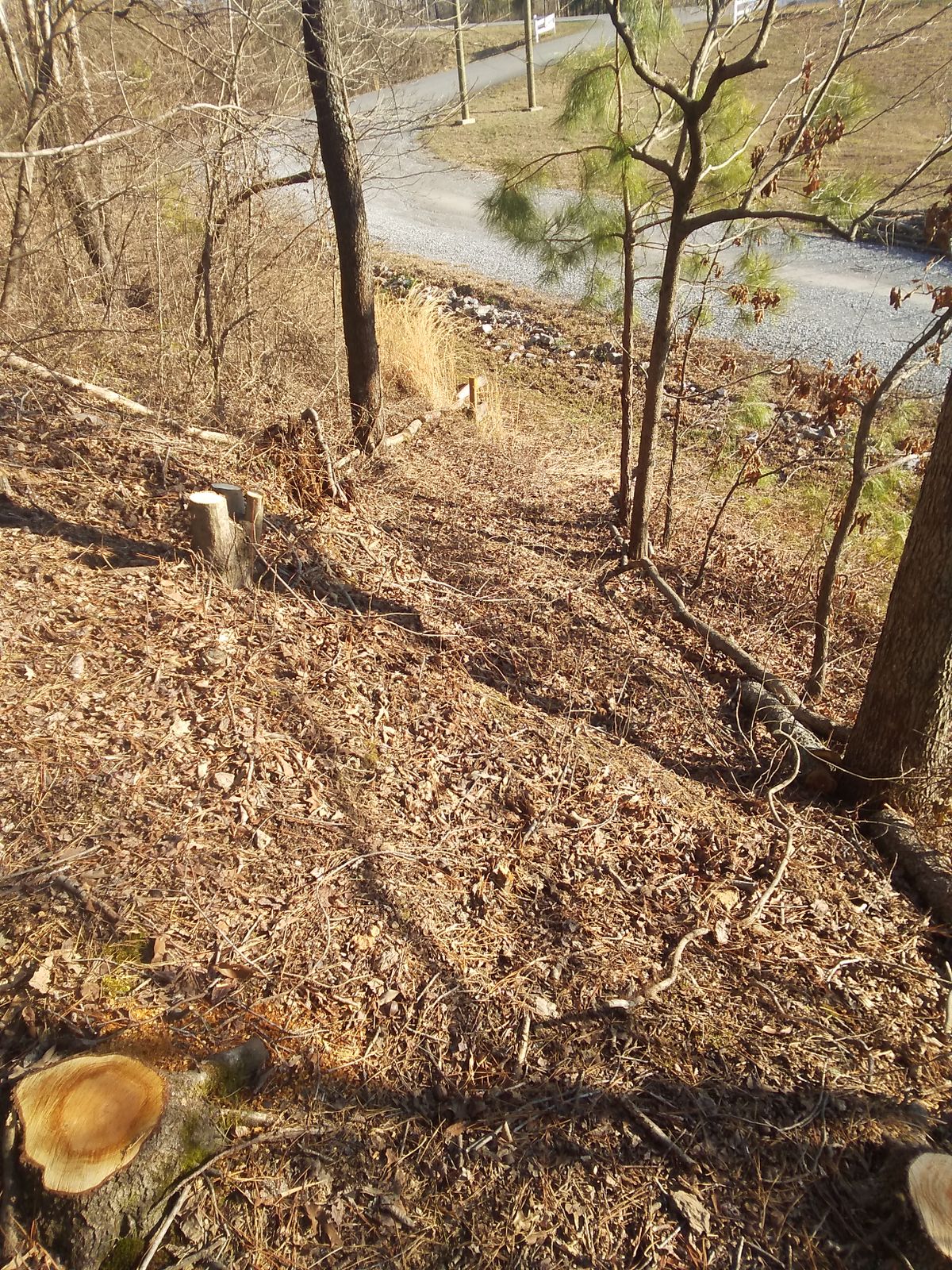 Hole 9 on top of the hill looking back at the teepad