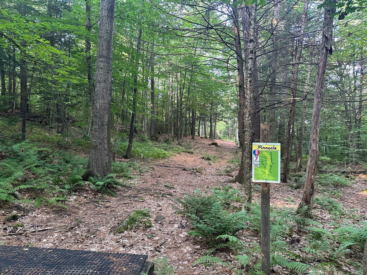 Tee pad 7