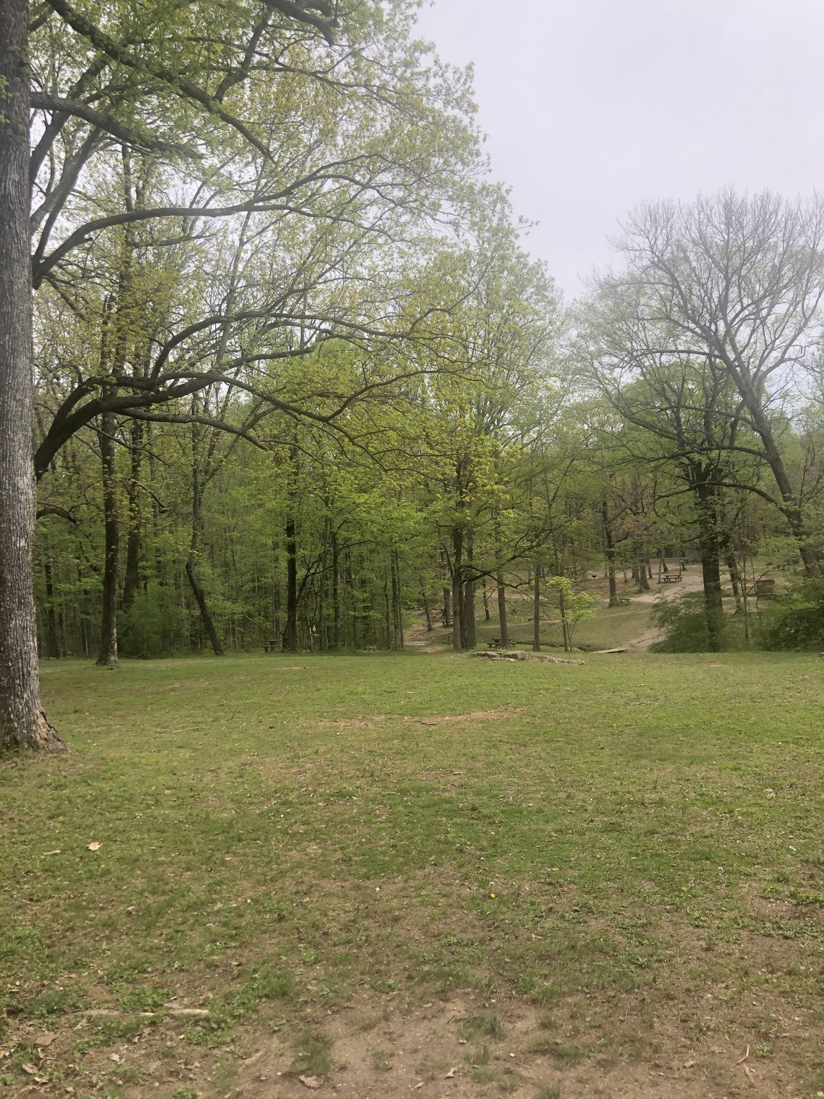 Hole 4