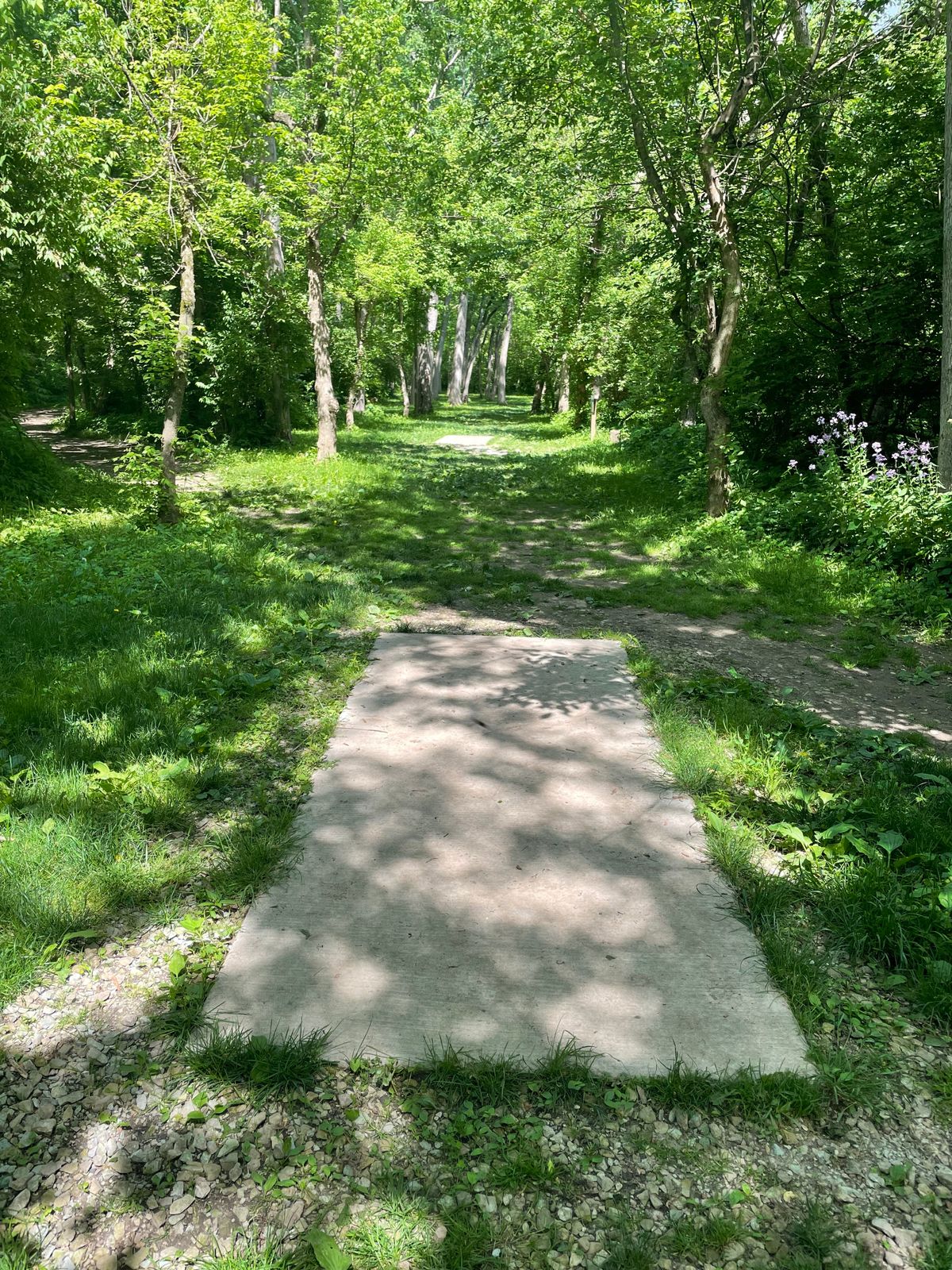 Hole 19 Gold