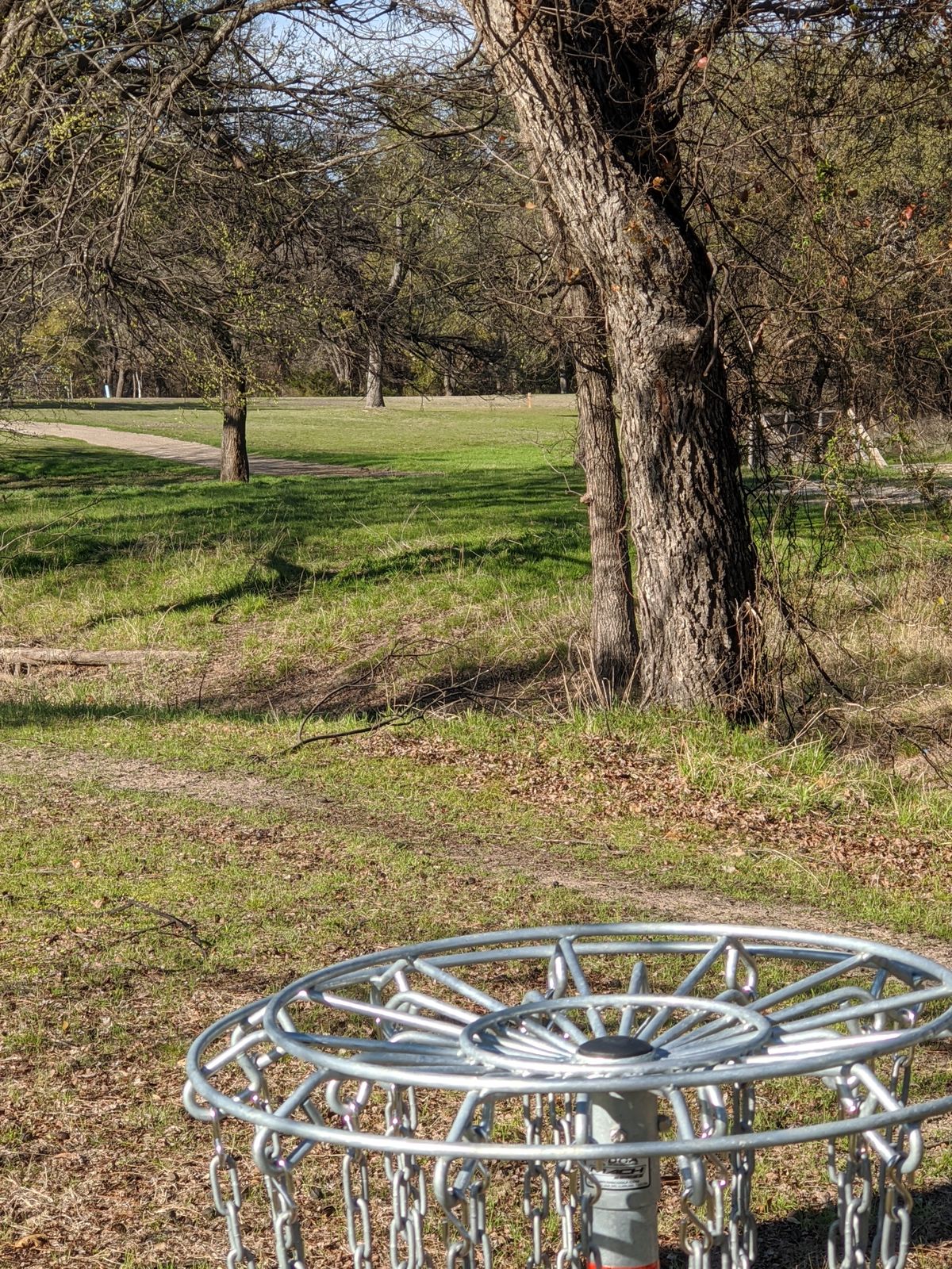 Hole 5's basket looking back at the tee box