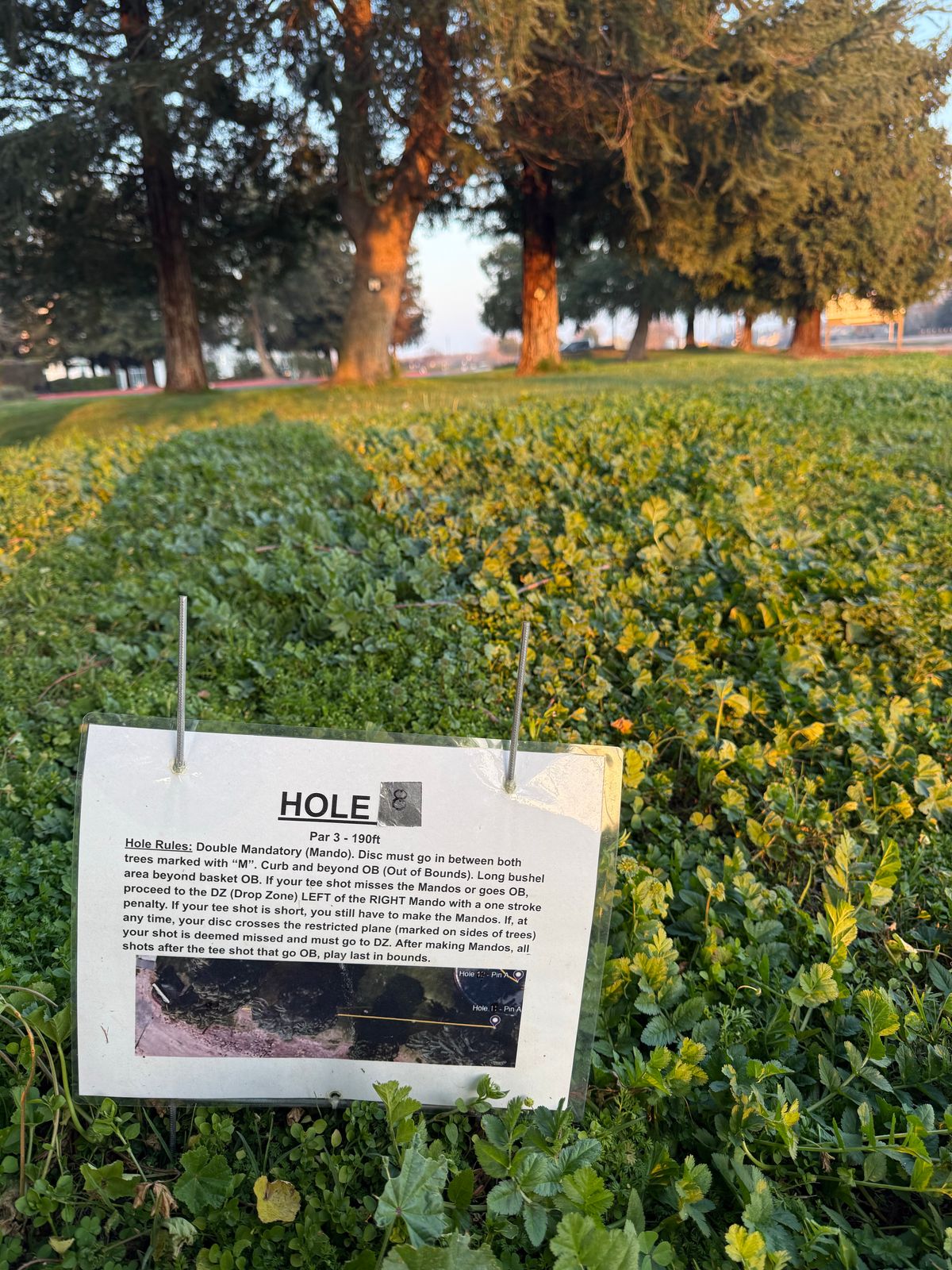 Hole #8