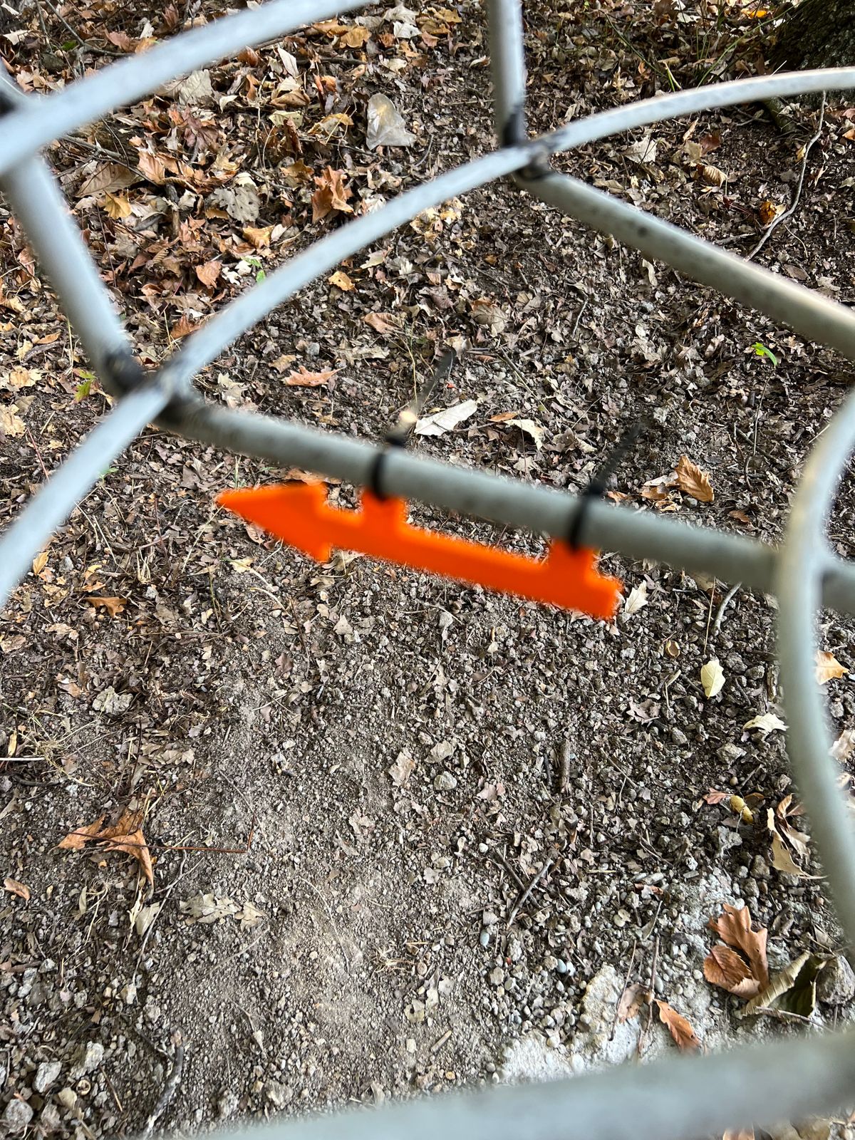Look for the arrows on each basket pointing towards the next tee.