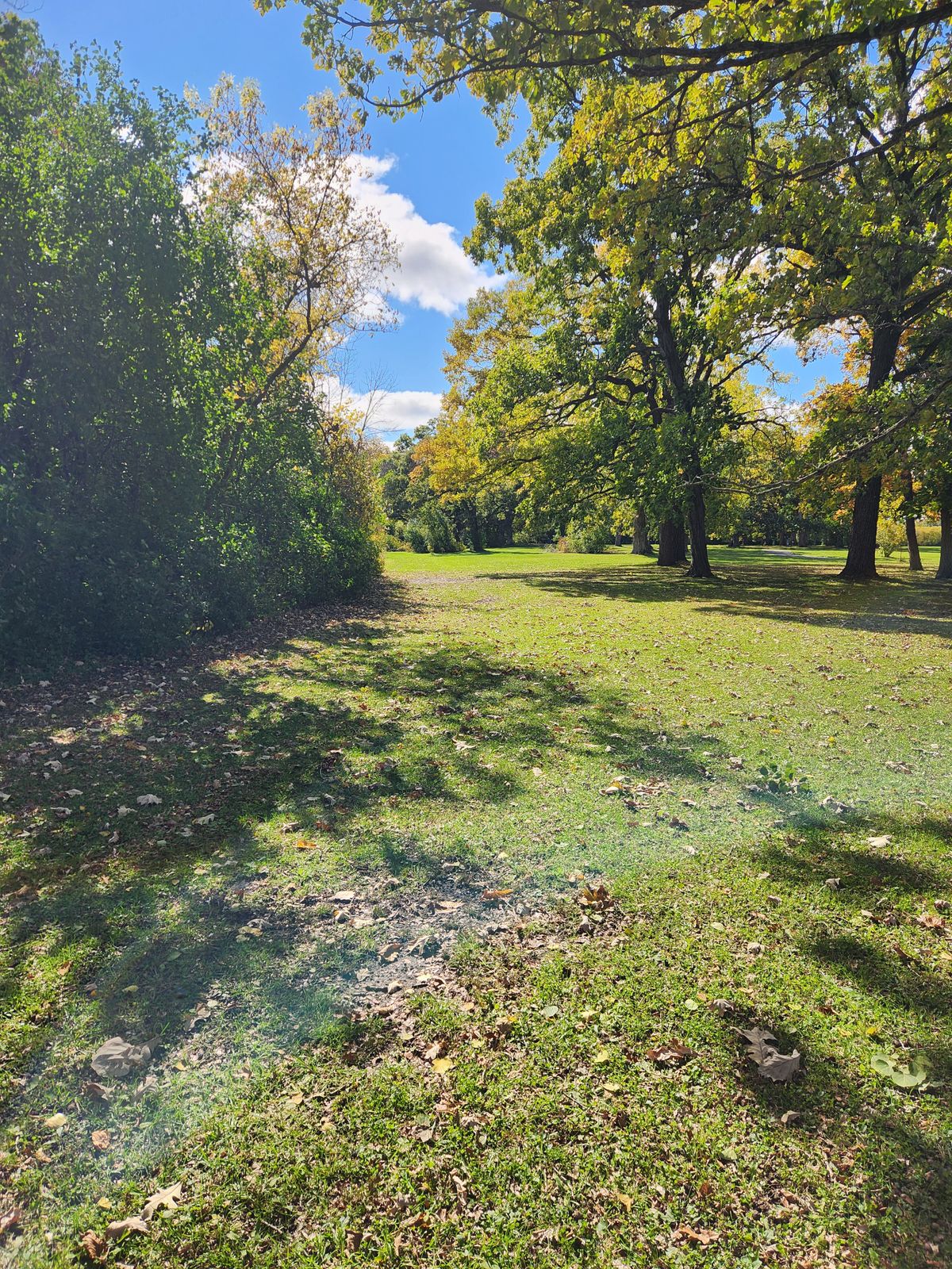 Hole 4 long tee