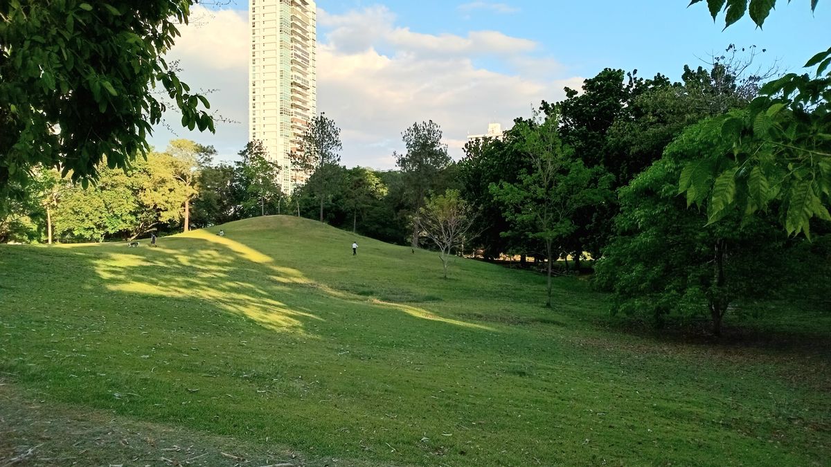 Parque Omar DG Course
Hole 9 Tee