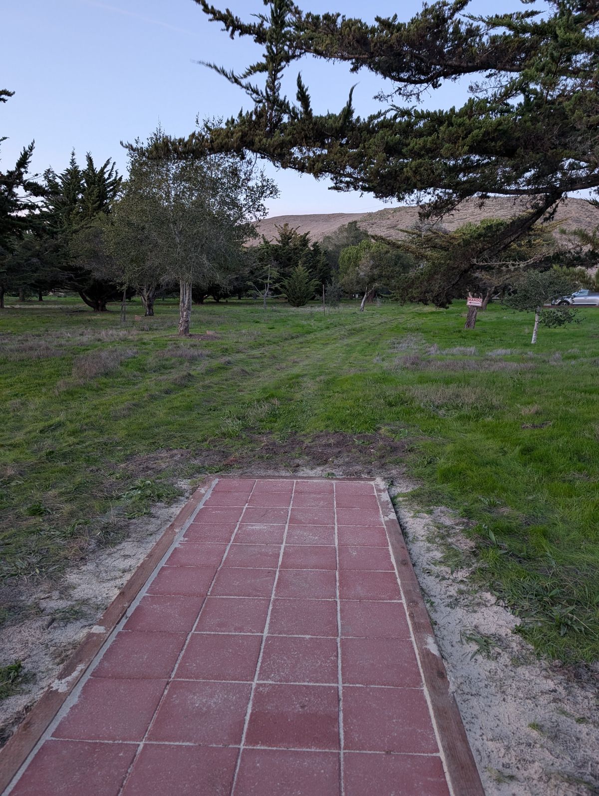 New 3B tee pad
