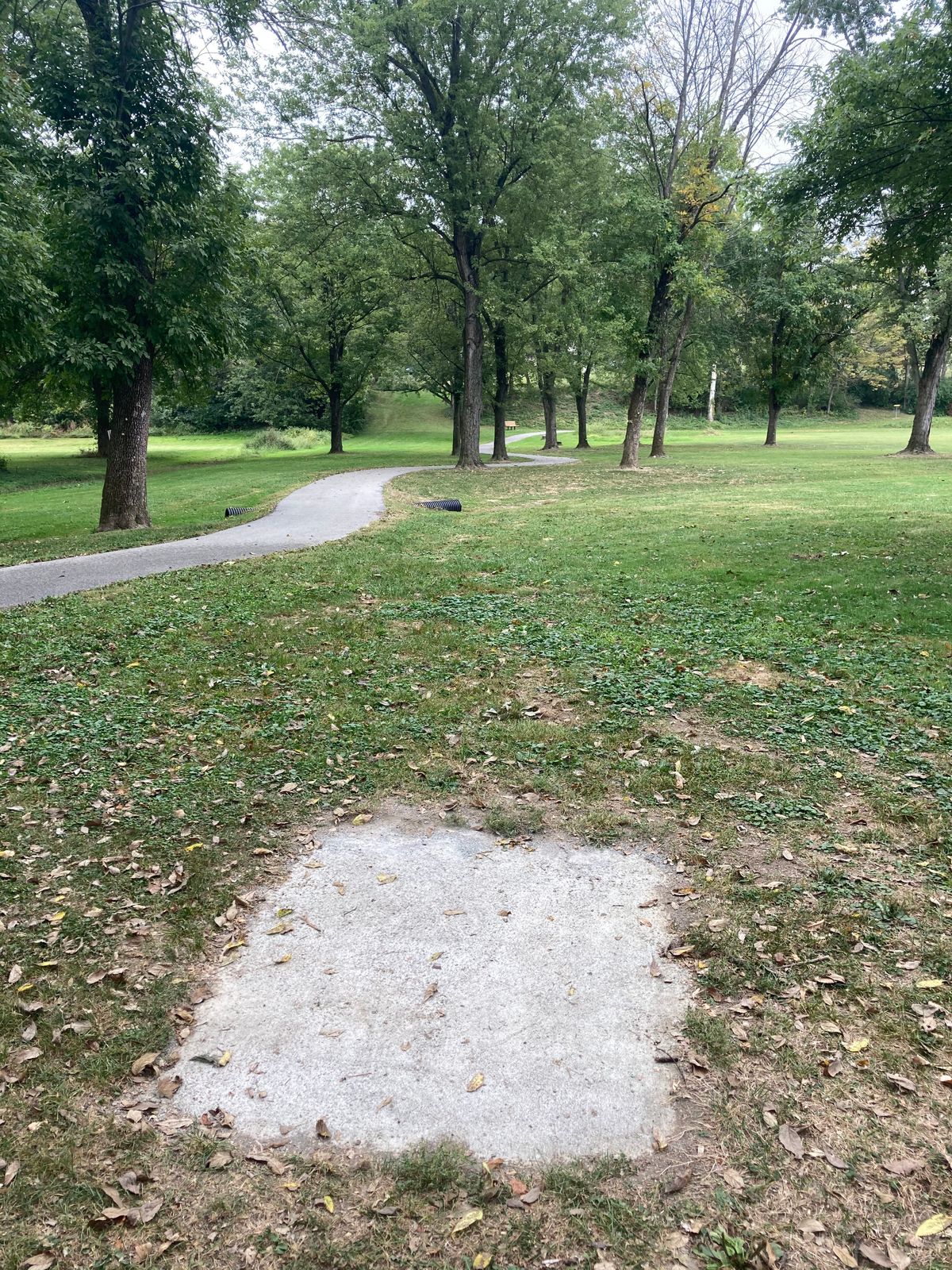 Hole 6
