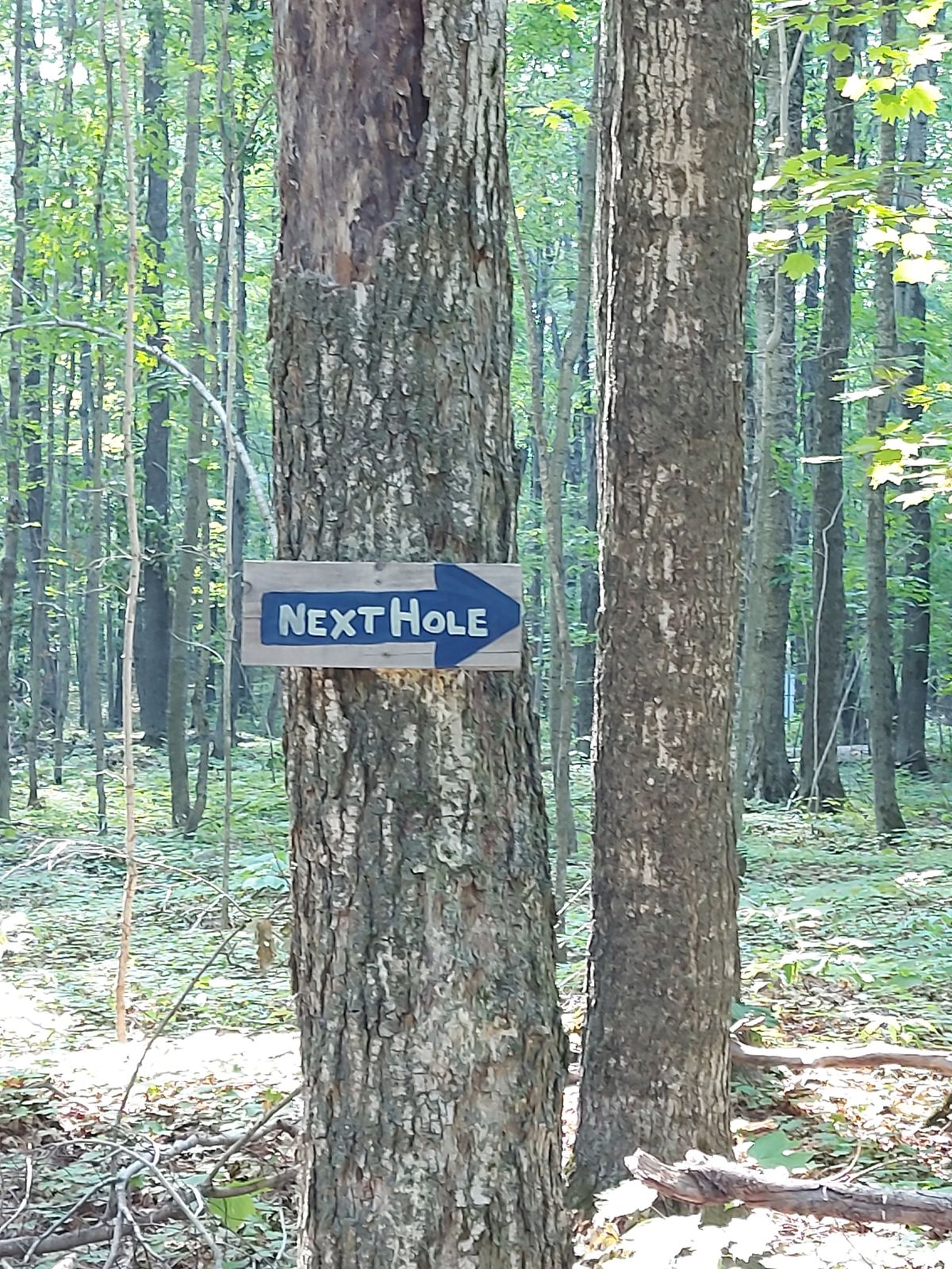 To hole 17.👉👉👉👉🪵