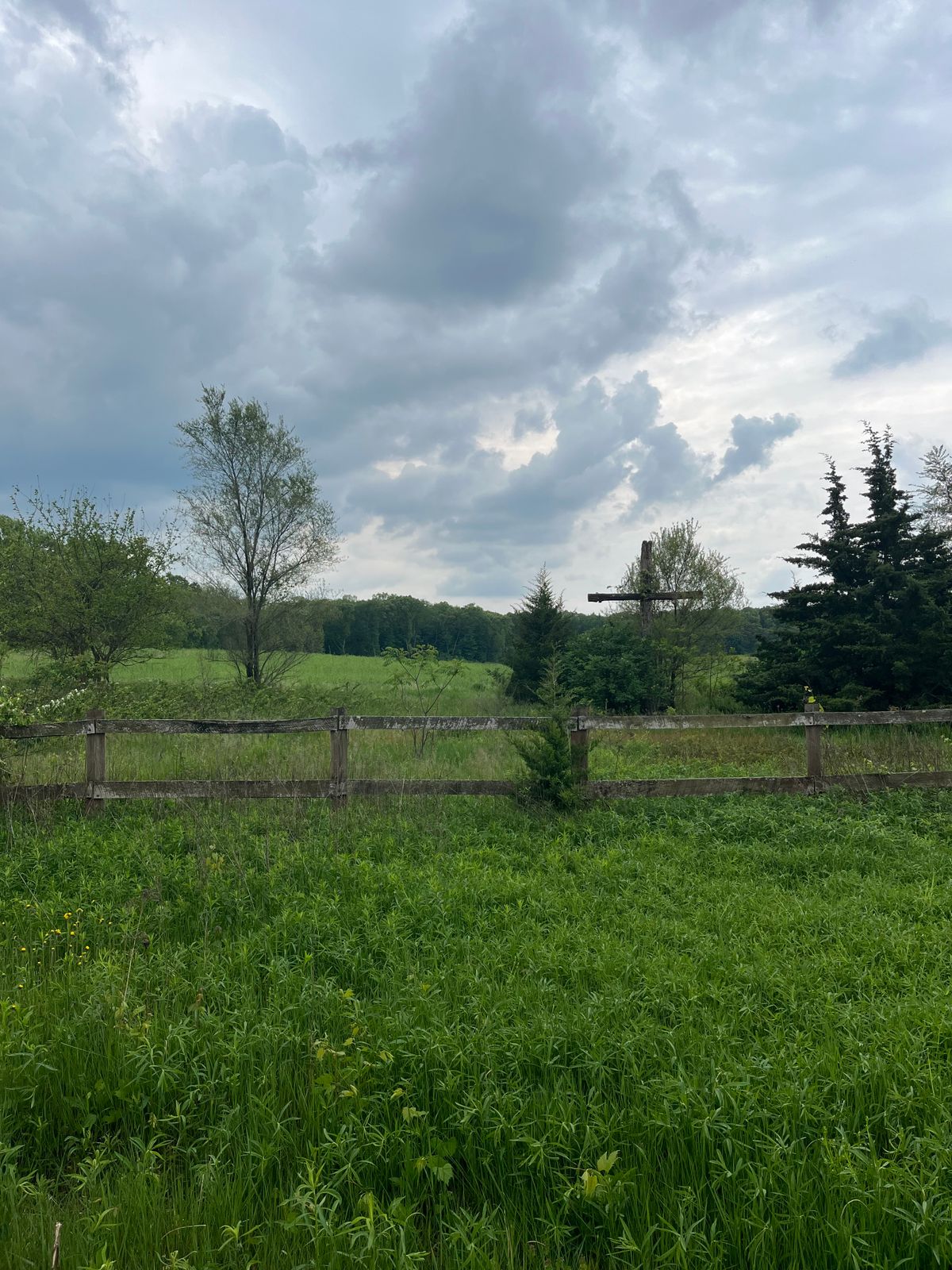 Side of hole 5s fairway, stable fence with beautiful views of the former ranch/pasture