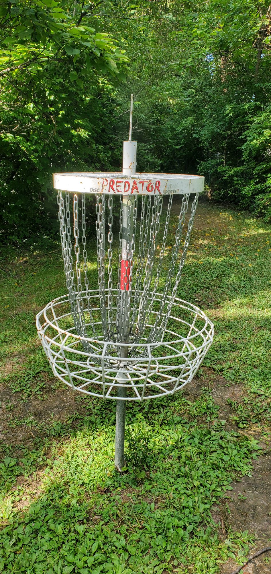 Predator baskets, the shark fin on top of the basket helps you find the next tee pad.