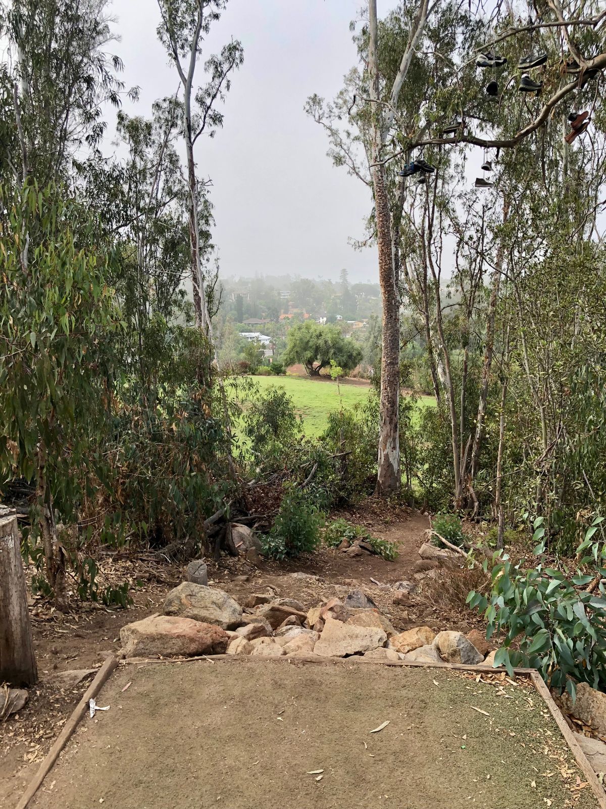 Hole 6