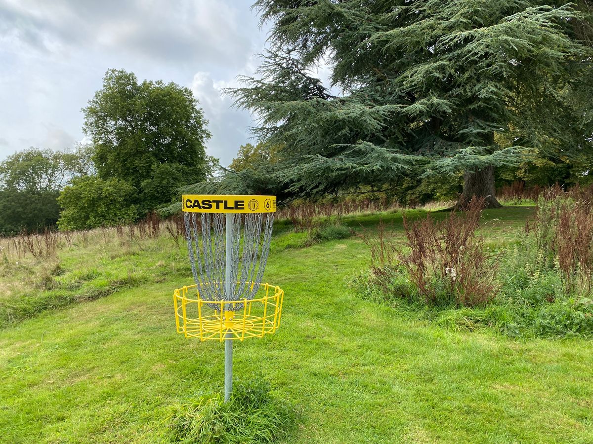 Hole six basket  looking back towards tee