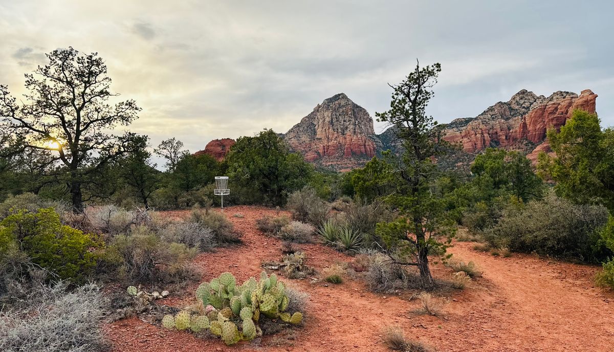 Epic views! This photo makes me think Botanical garden meets disc golf. ❤️