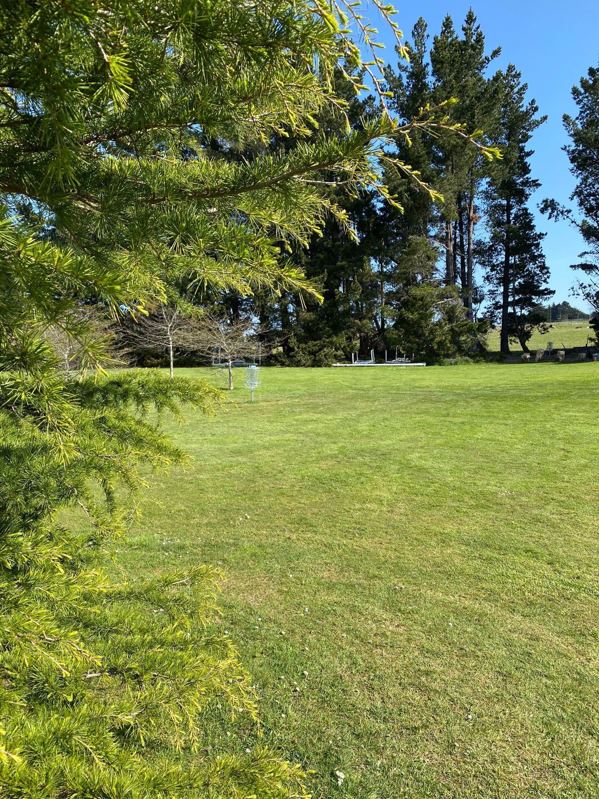 "Demon Drift" your disc around the trees and up by the basket.