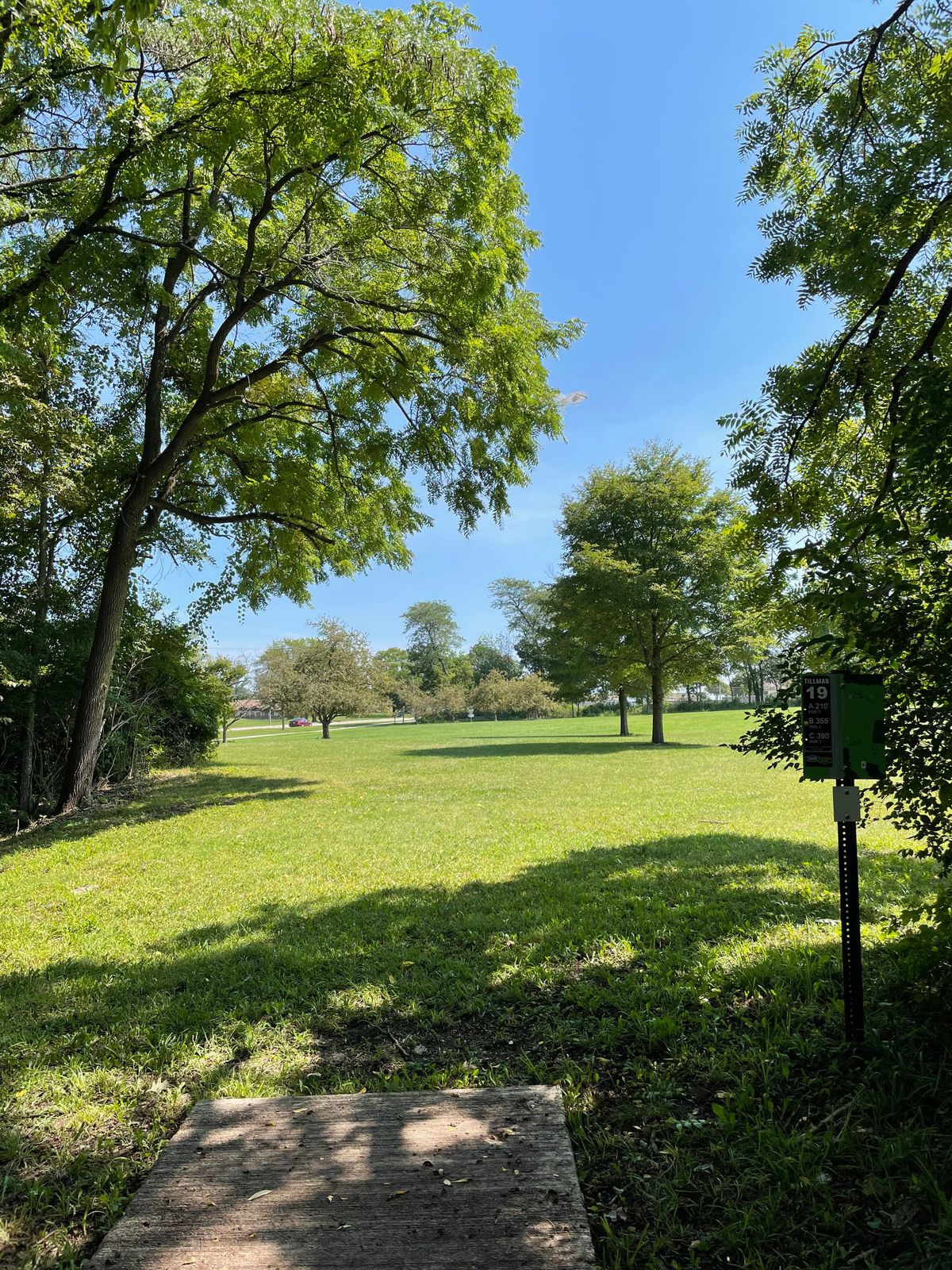the view from 19