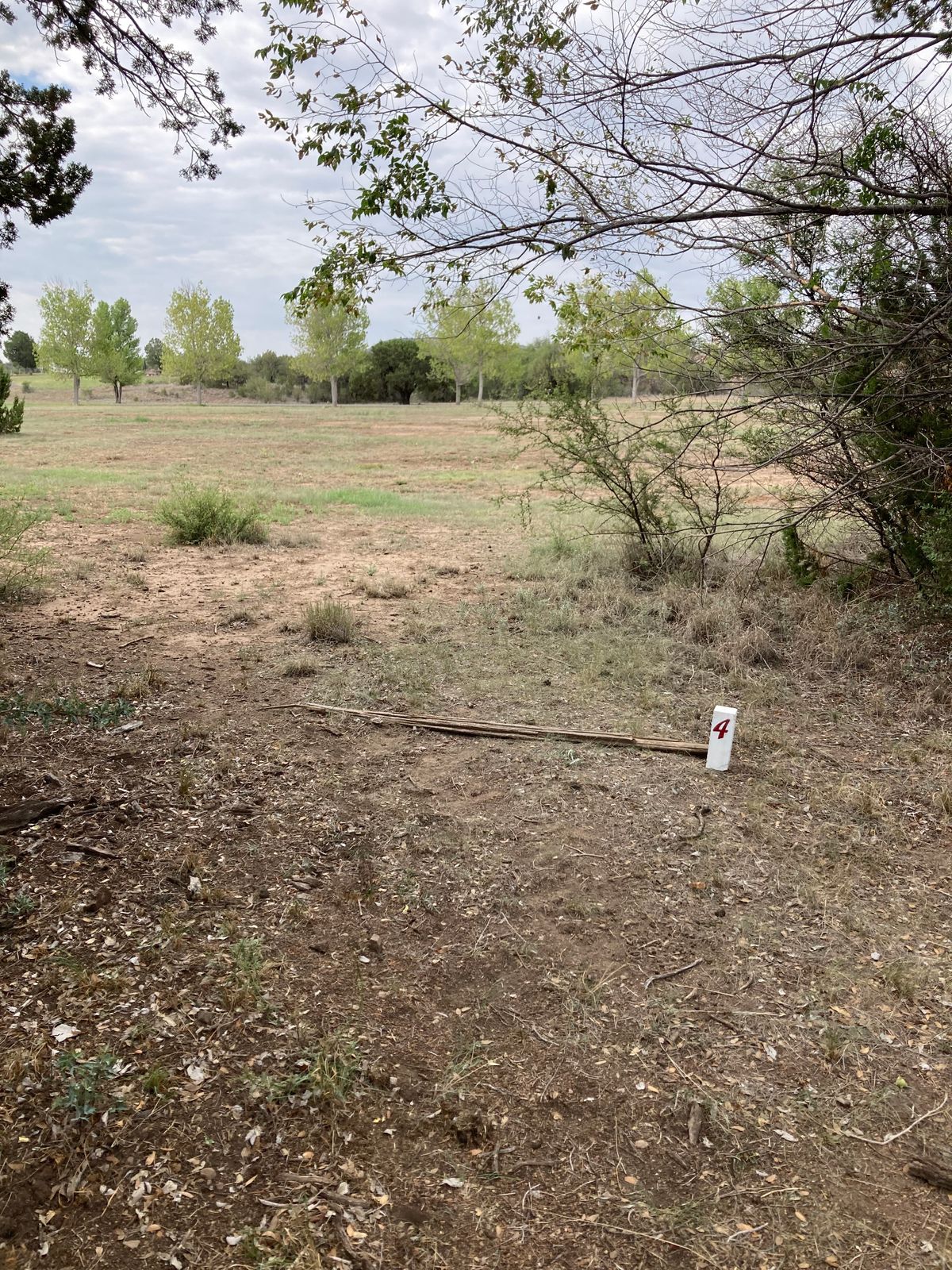 Tee 4