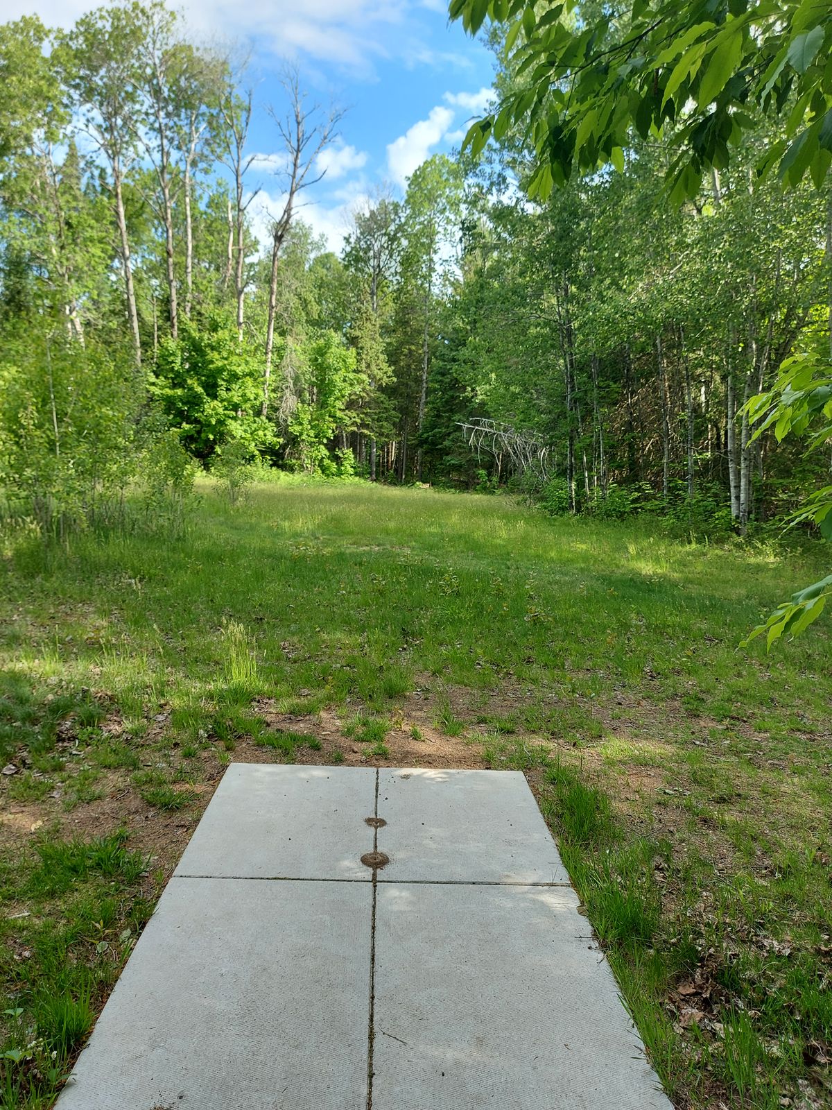 Tee pad 1 🍁🌲🍁🌲🍁🌲