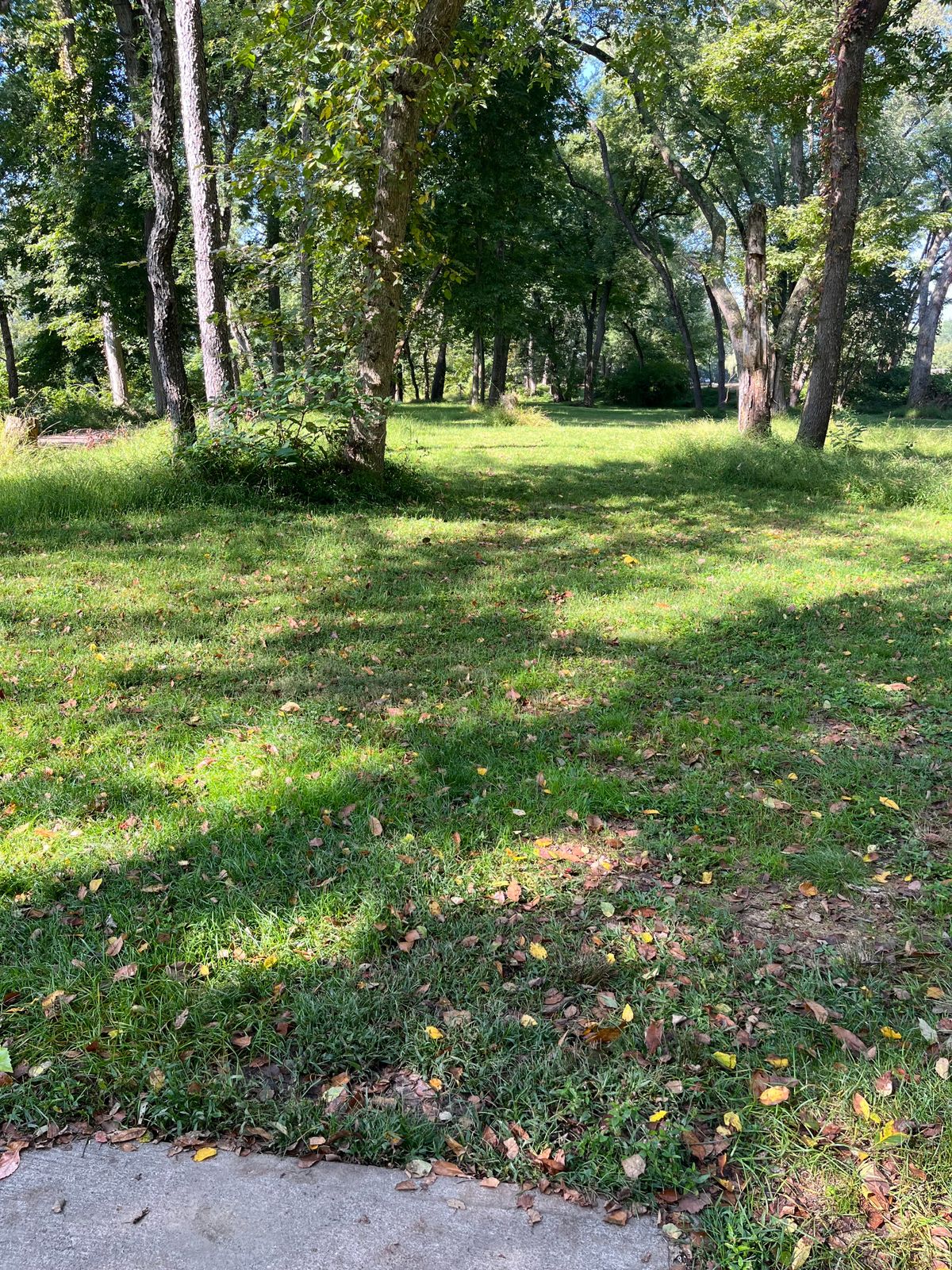Hole 8