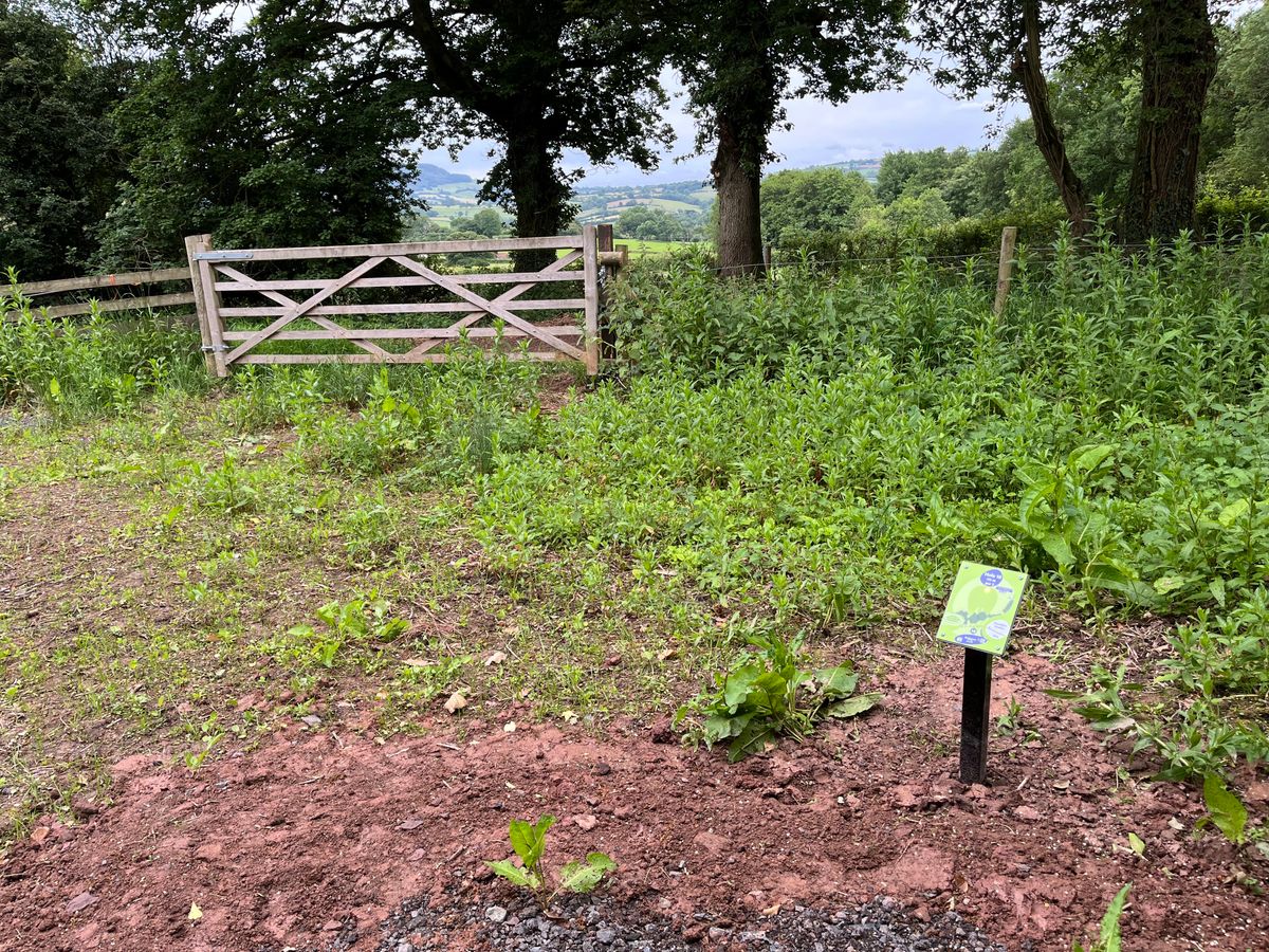 Hole 18 Blue tee (gate to be lowered)