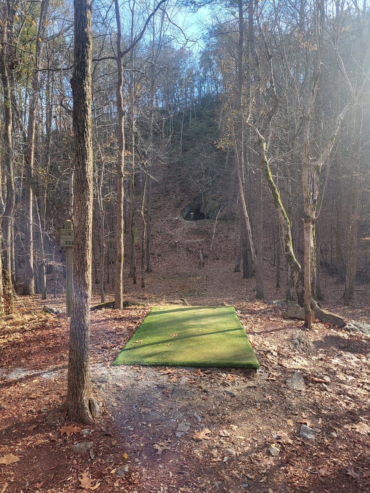 Lost my disc 1 min after taking this pic, after throwing into the deep leaves on the hill in front of the basket. Never to be seen again til' spring. RIP yellow disc.
