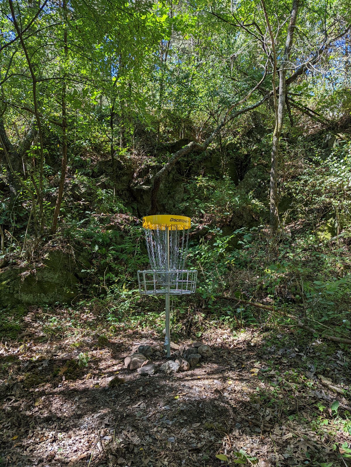 Hole 5