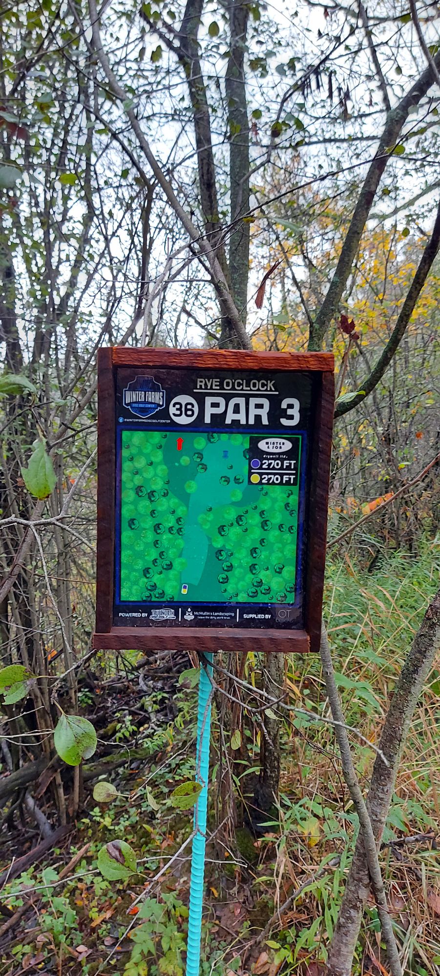 Hole sign 36🪵.🍃🇨🇦🍃🇨🇦🪵
