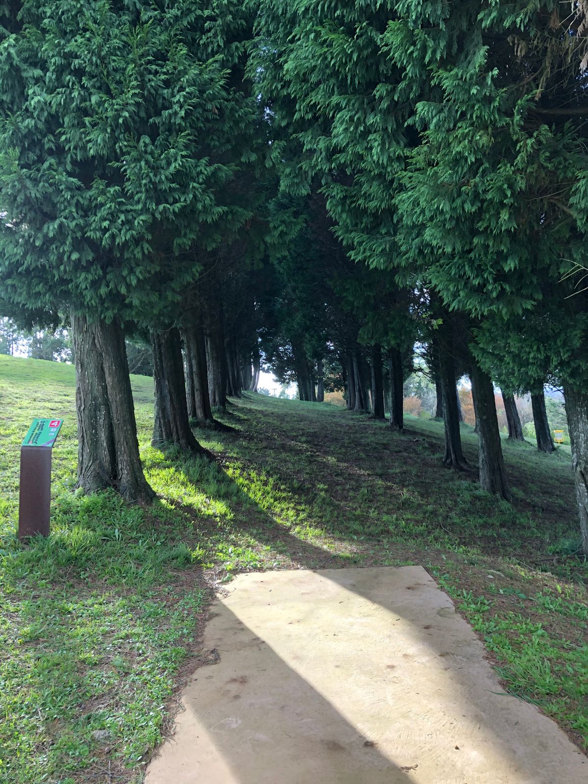 Hole 4