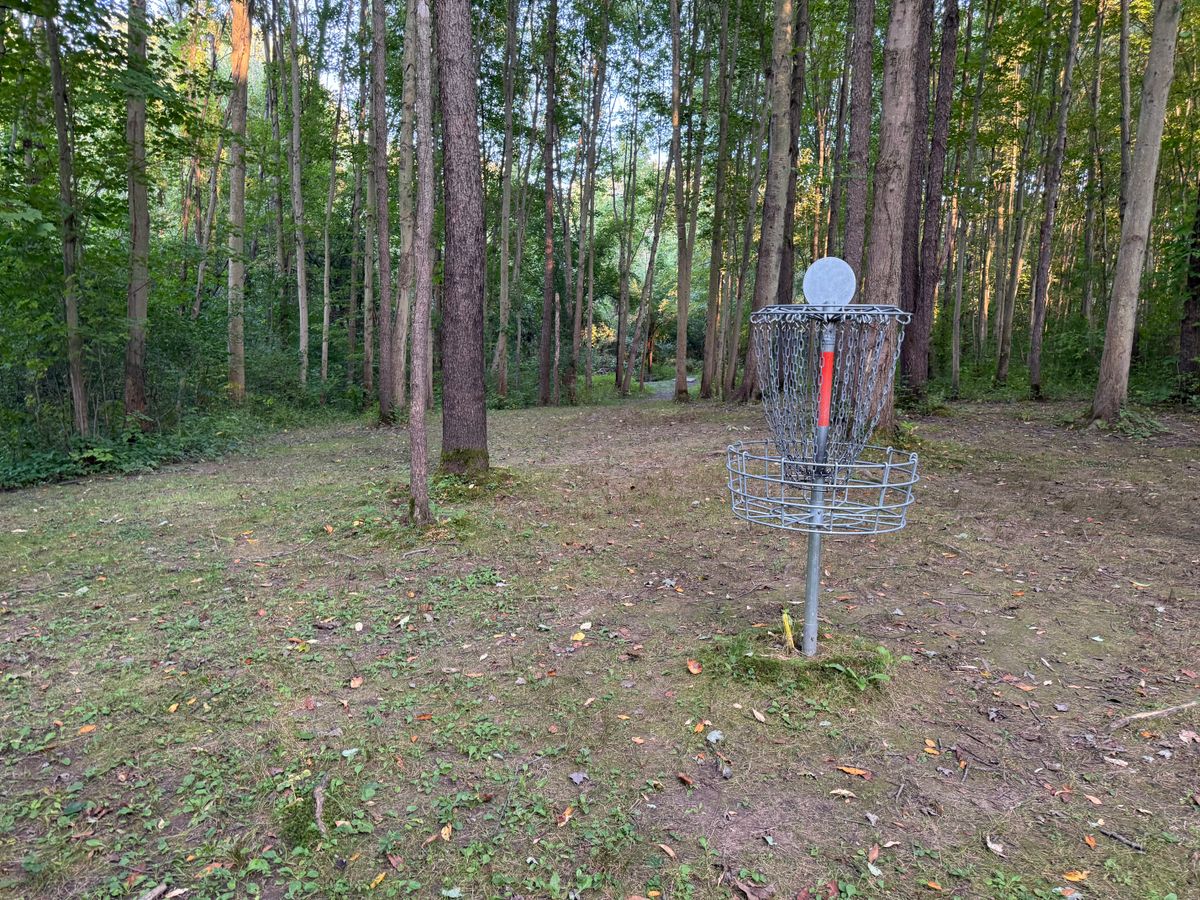 Hole 7 Basket to Tee