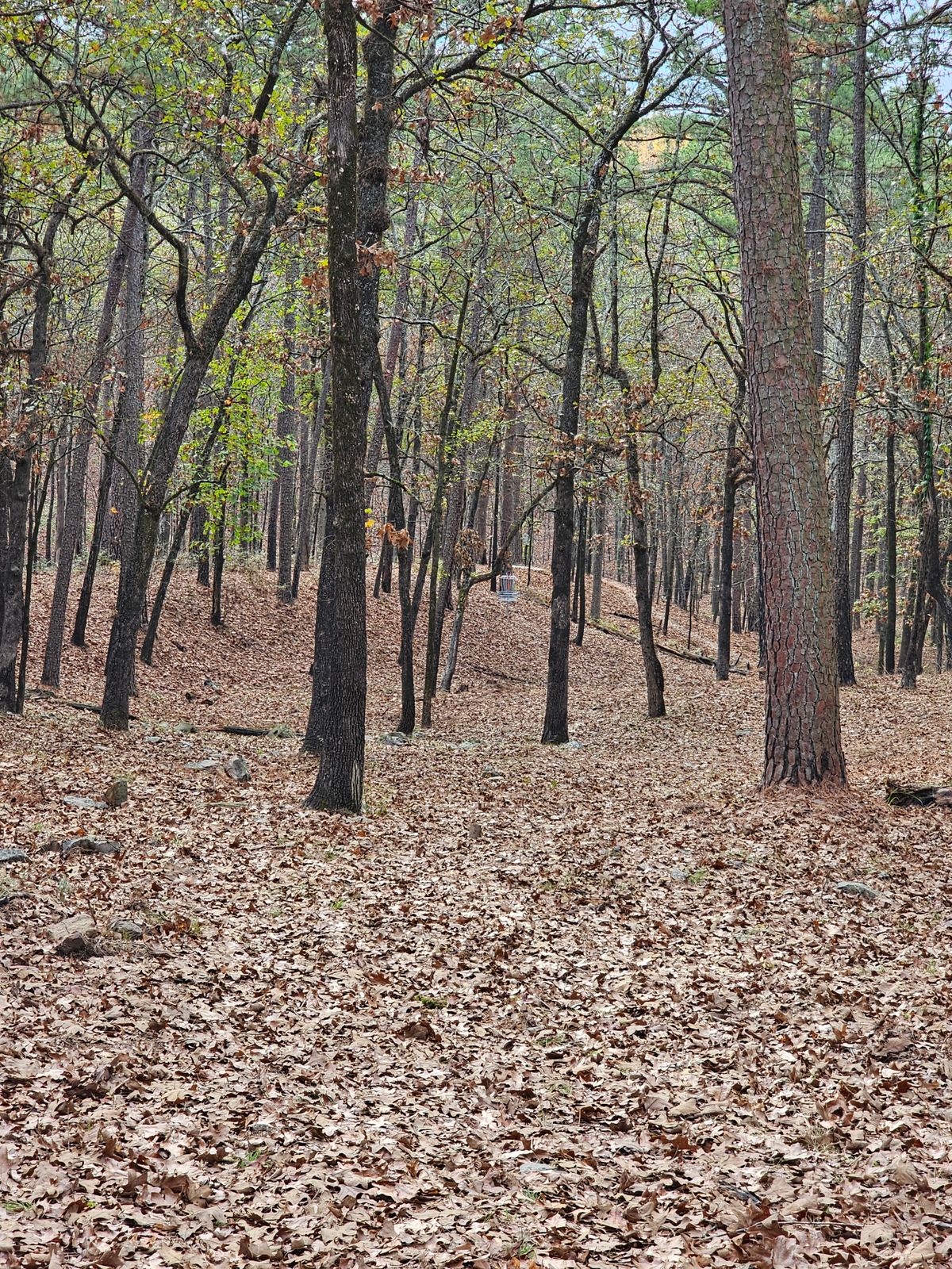 Hole 4