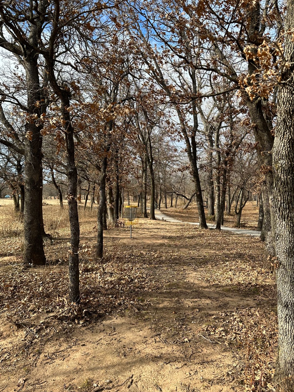 Hole 2 green