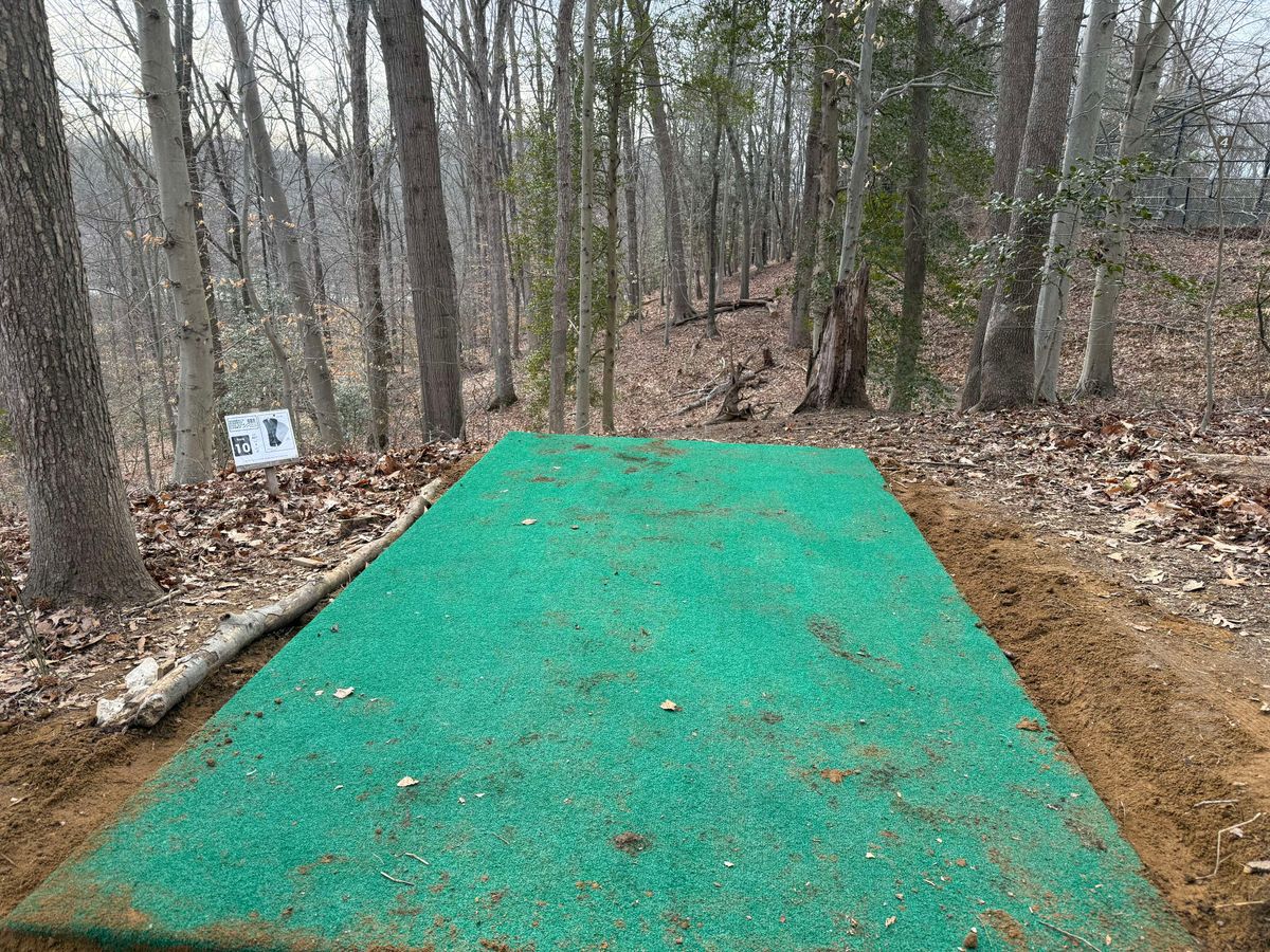 Hole 10- new tee box