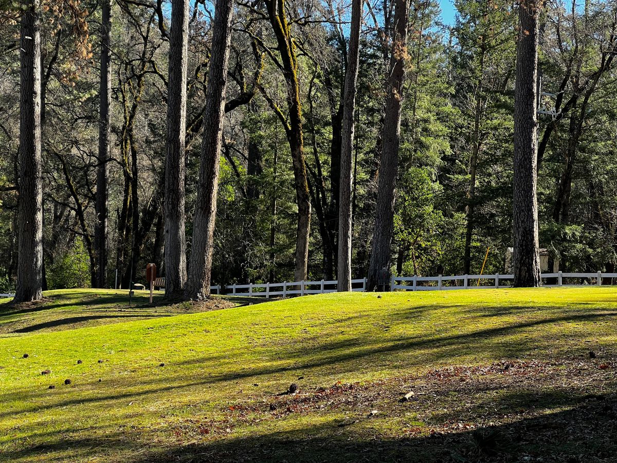 Hole 12