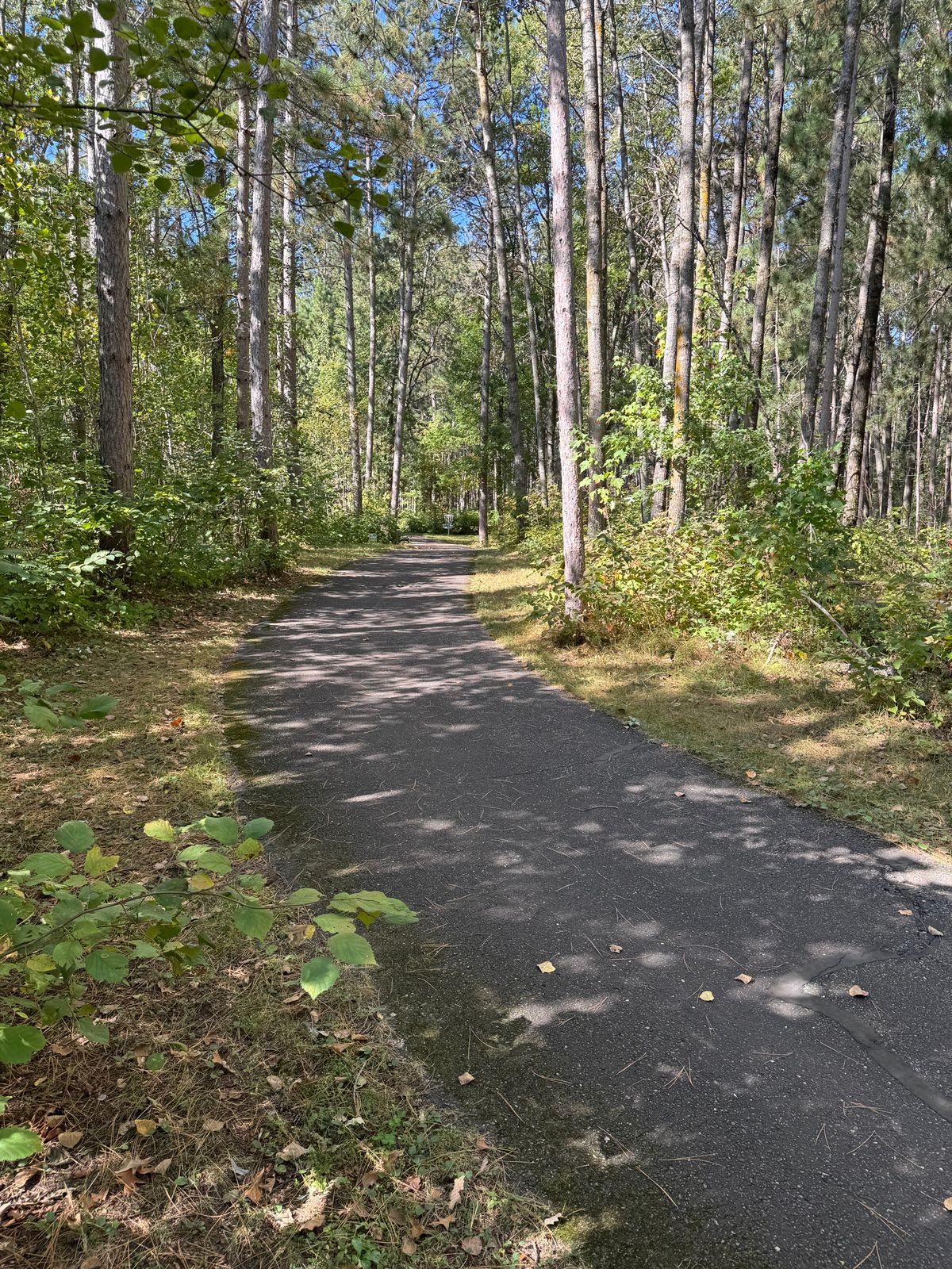 #4 middle of fairway looking to basket