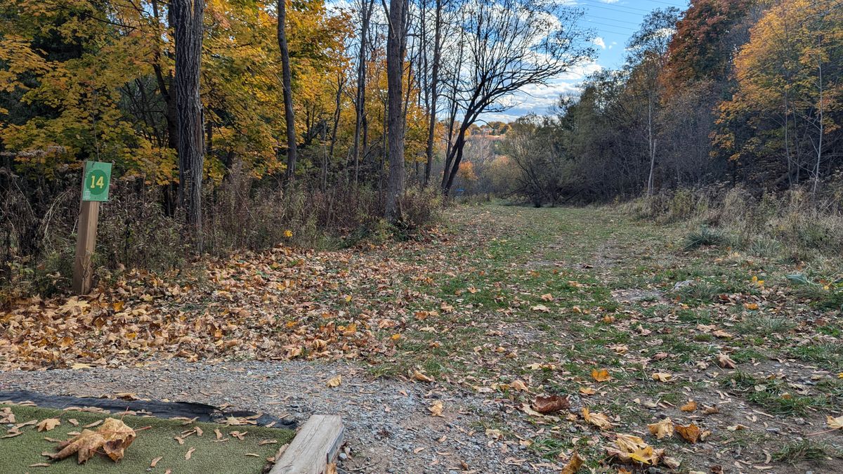 Hole 14