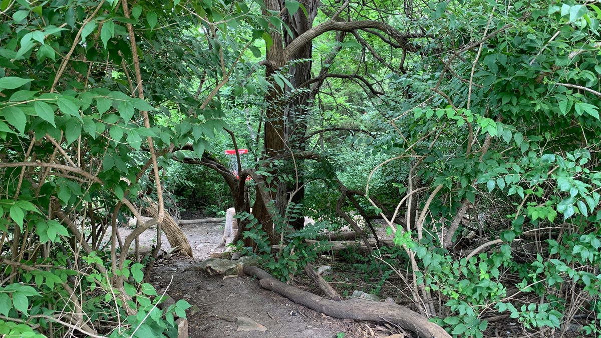Hole 4
