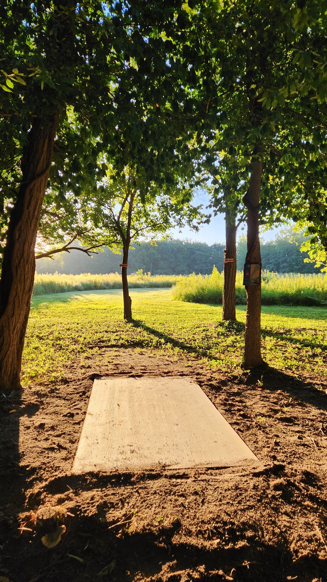 Hole 5 red tee