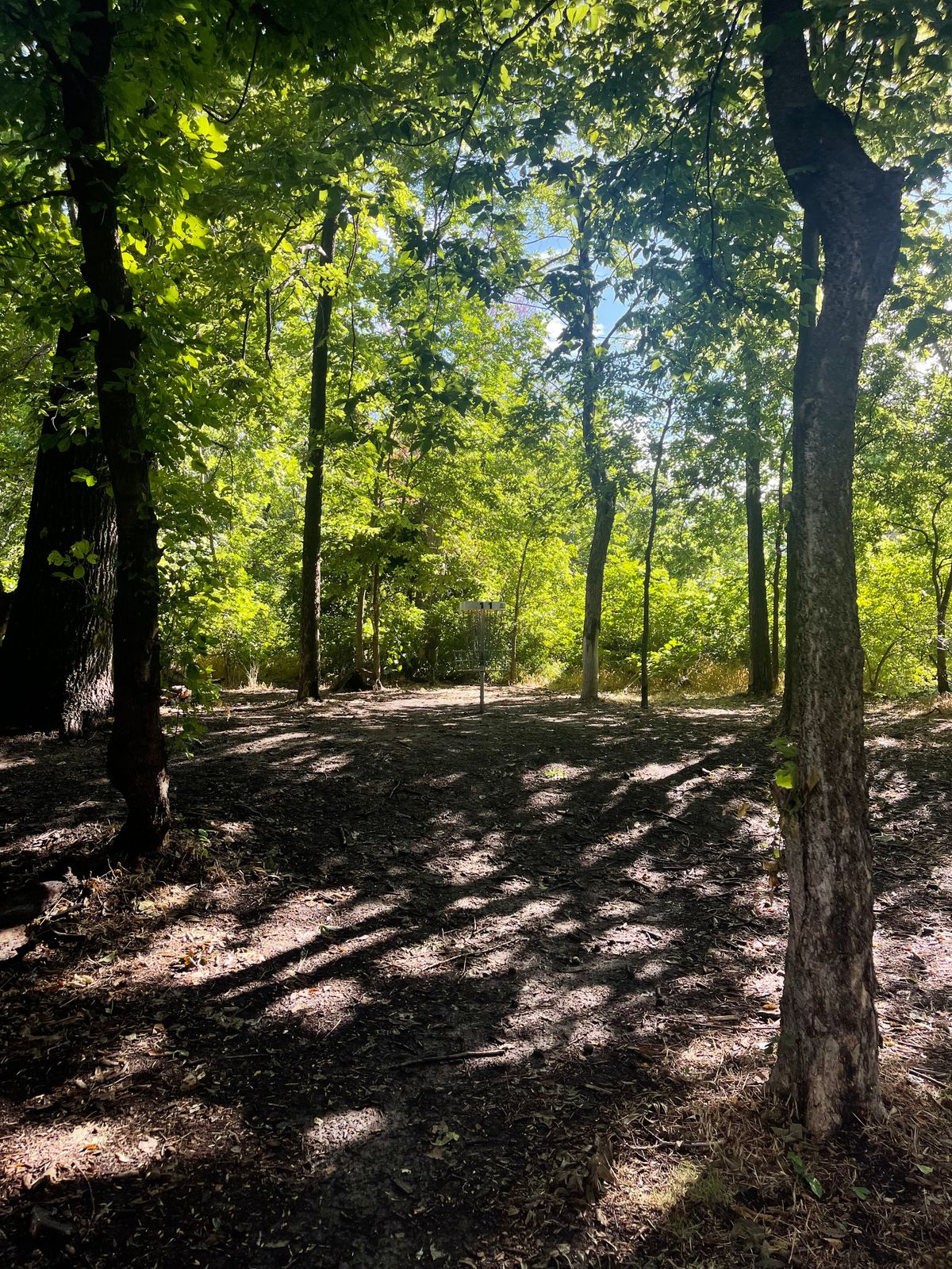 Hole 11 basket