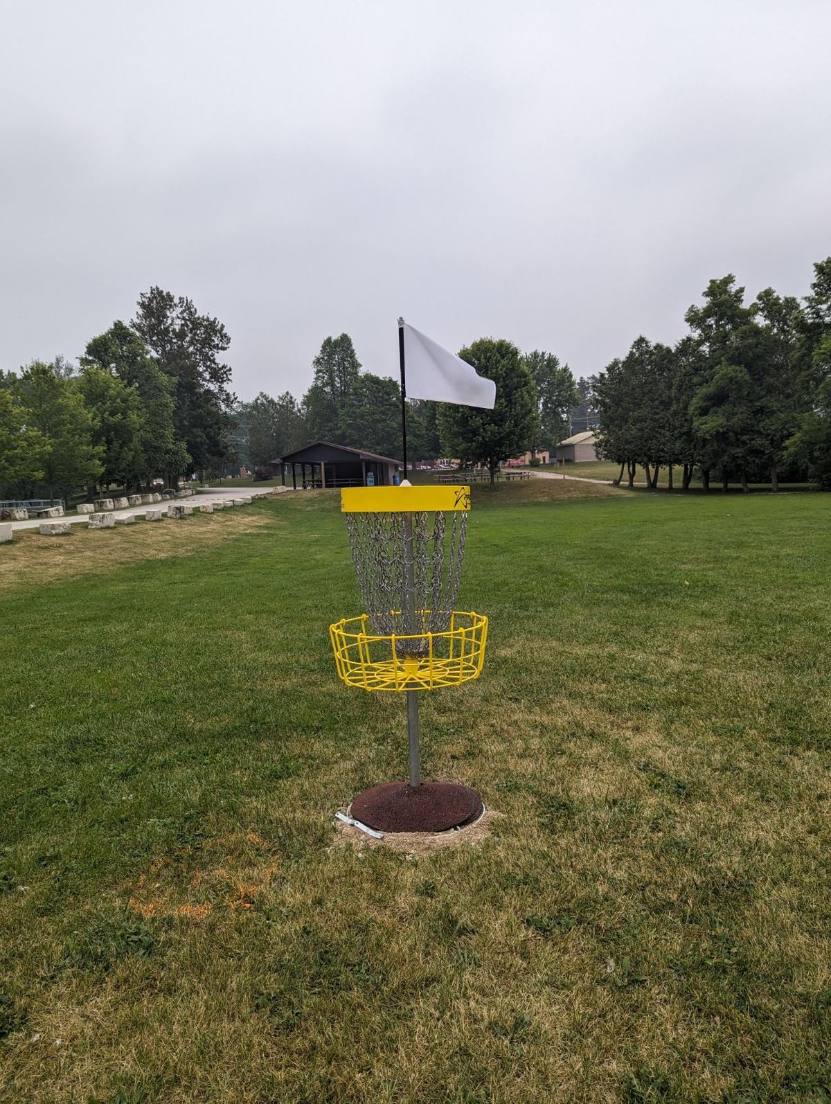 Hole 3 basket looking toward the tee