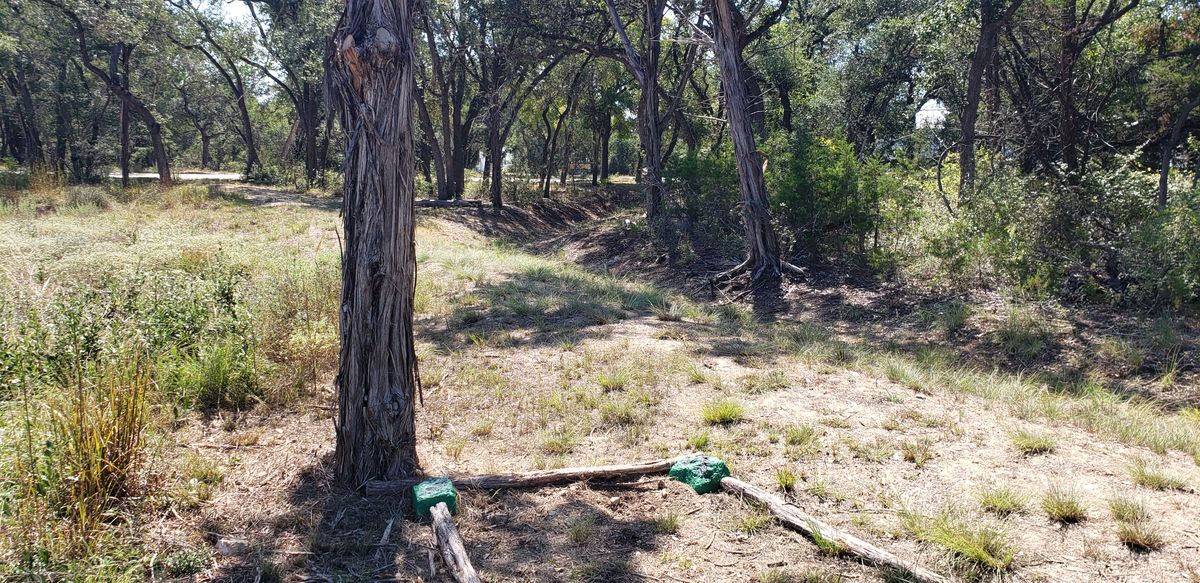 Hole 7 Short