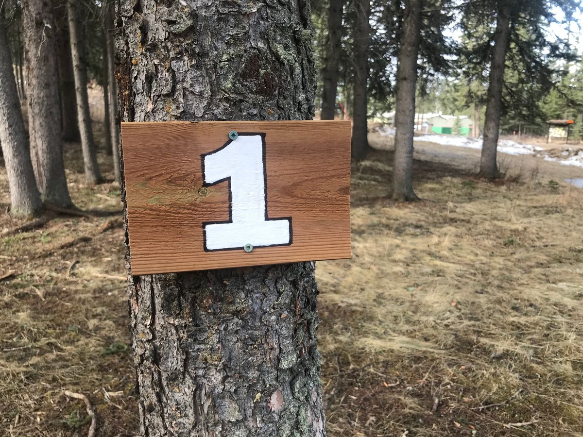 Hole 1: tee pad sign